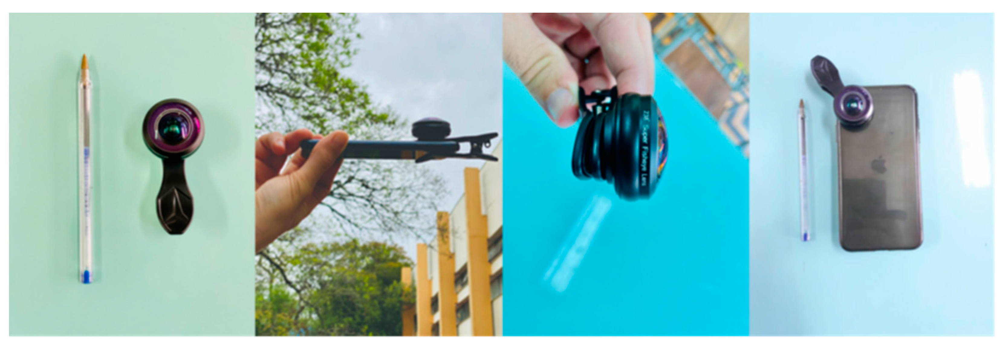 Climate 10 00197 g005