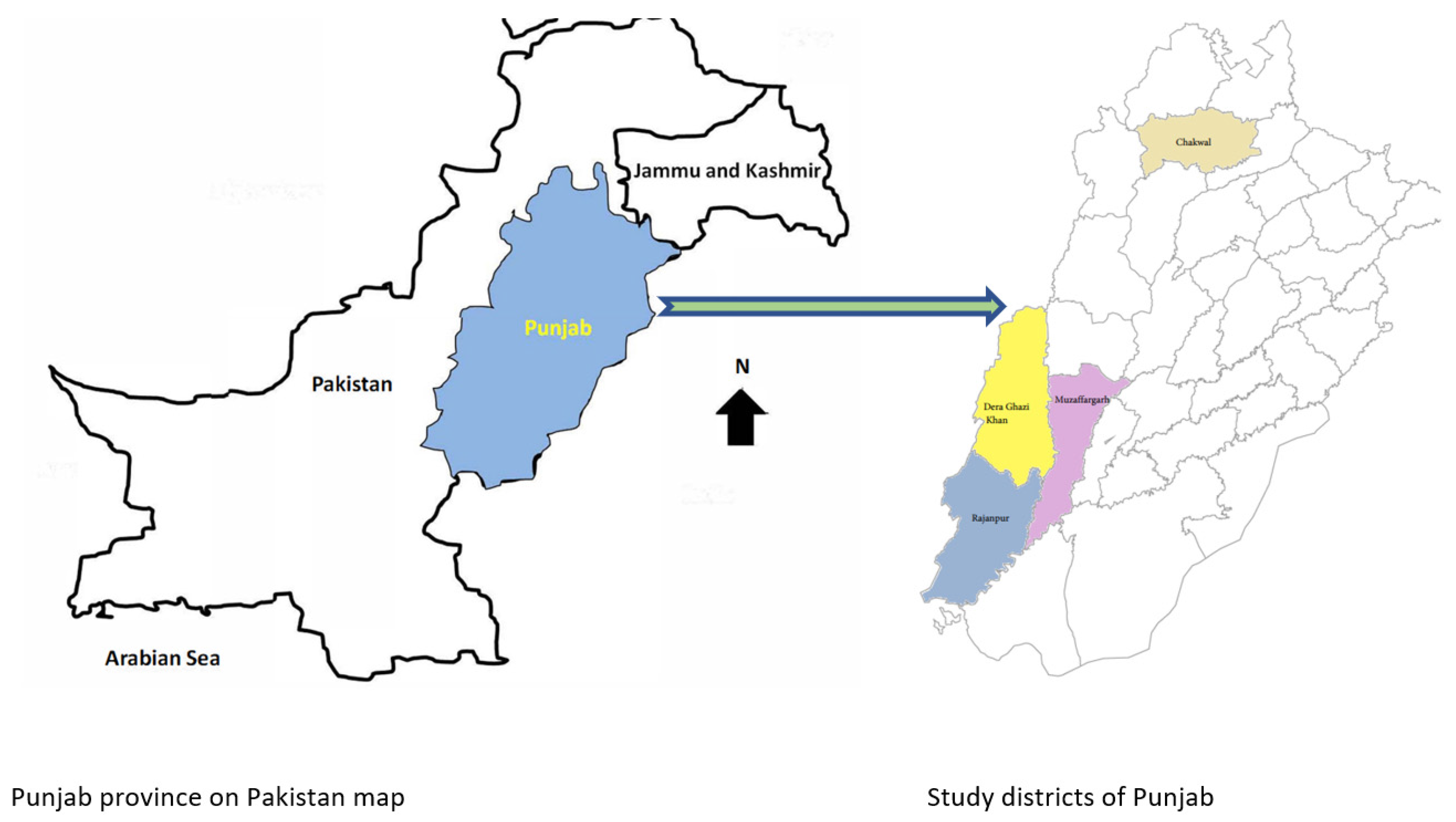 Climate 12 00058 g001