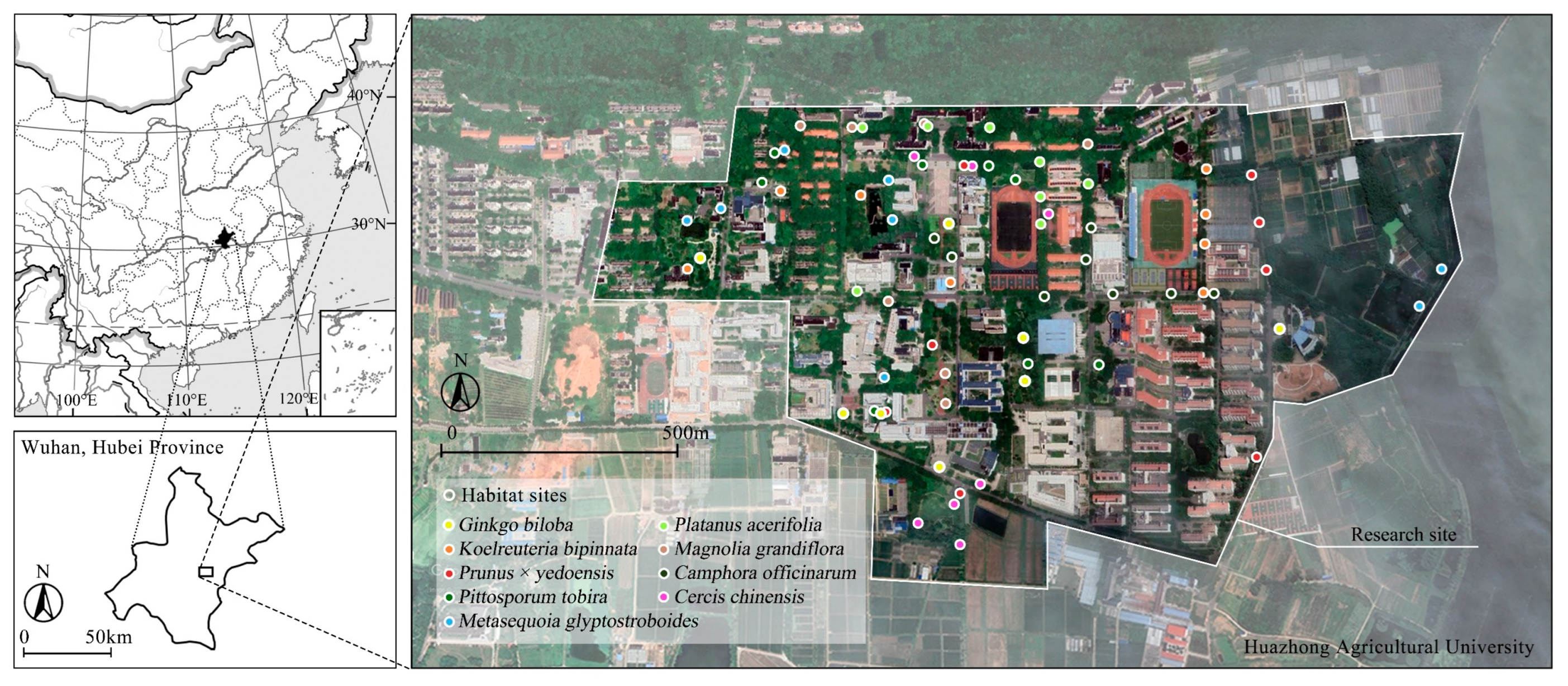 Climate 13 00026 g002