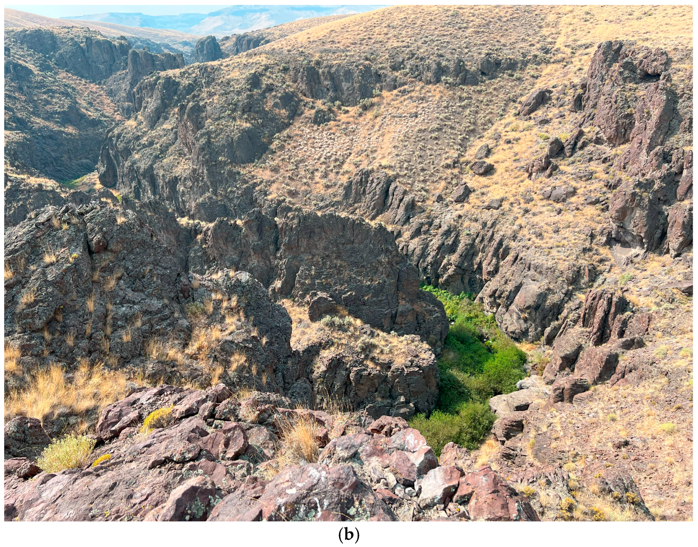 Climate 13 00044 g001b