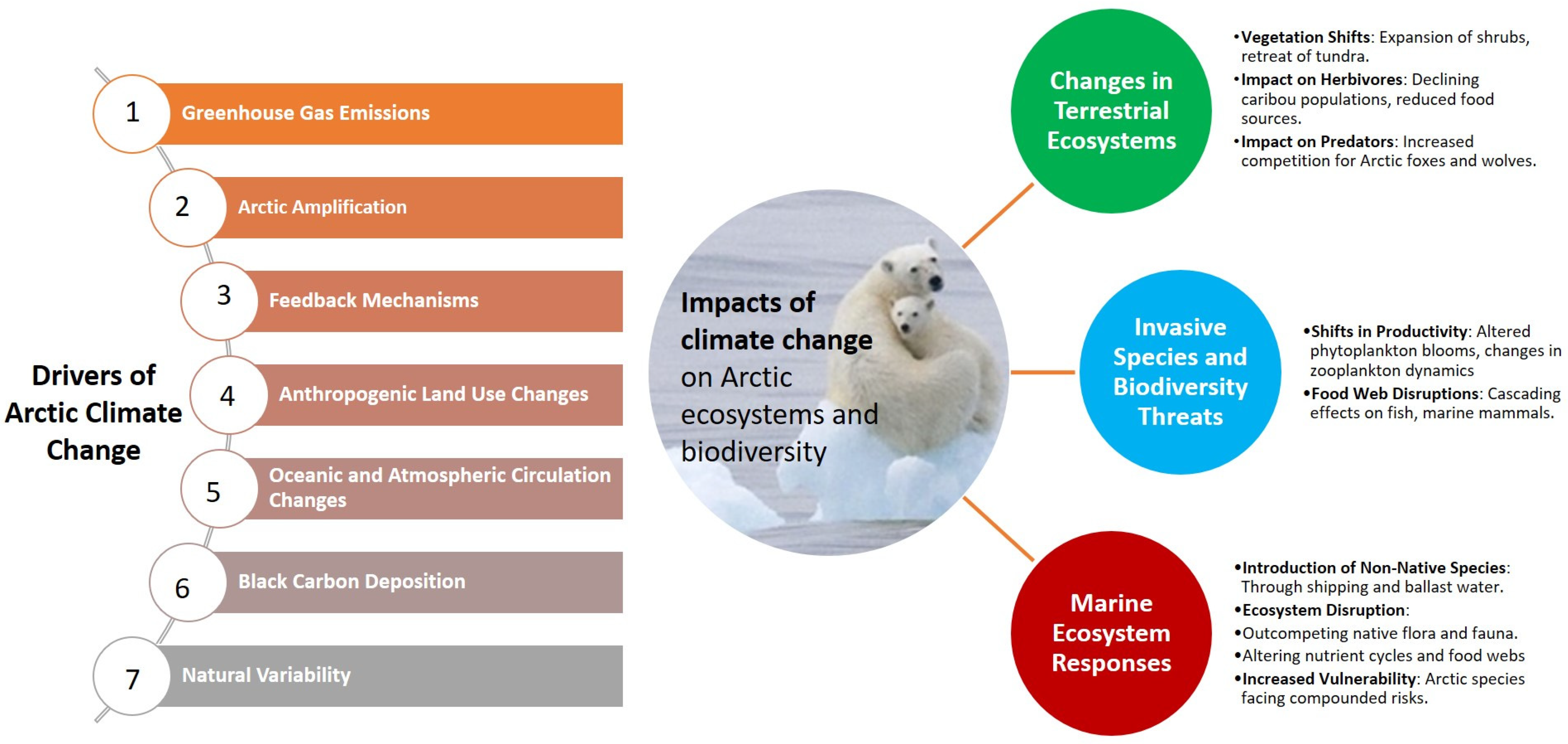 Climate 13 00085 g005