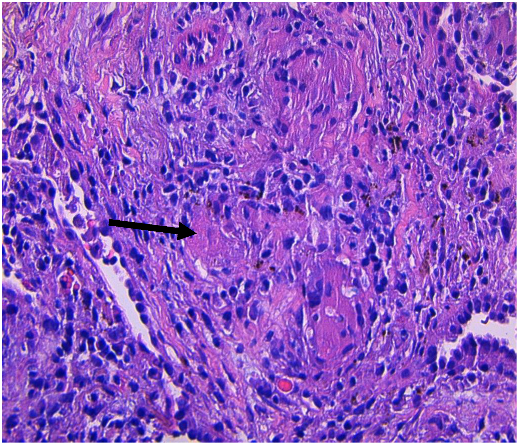 Clinpract 11 00003 g003