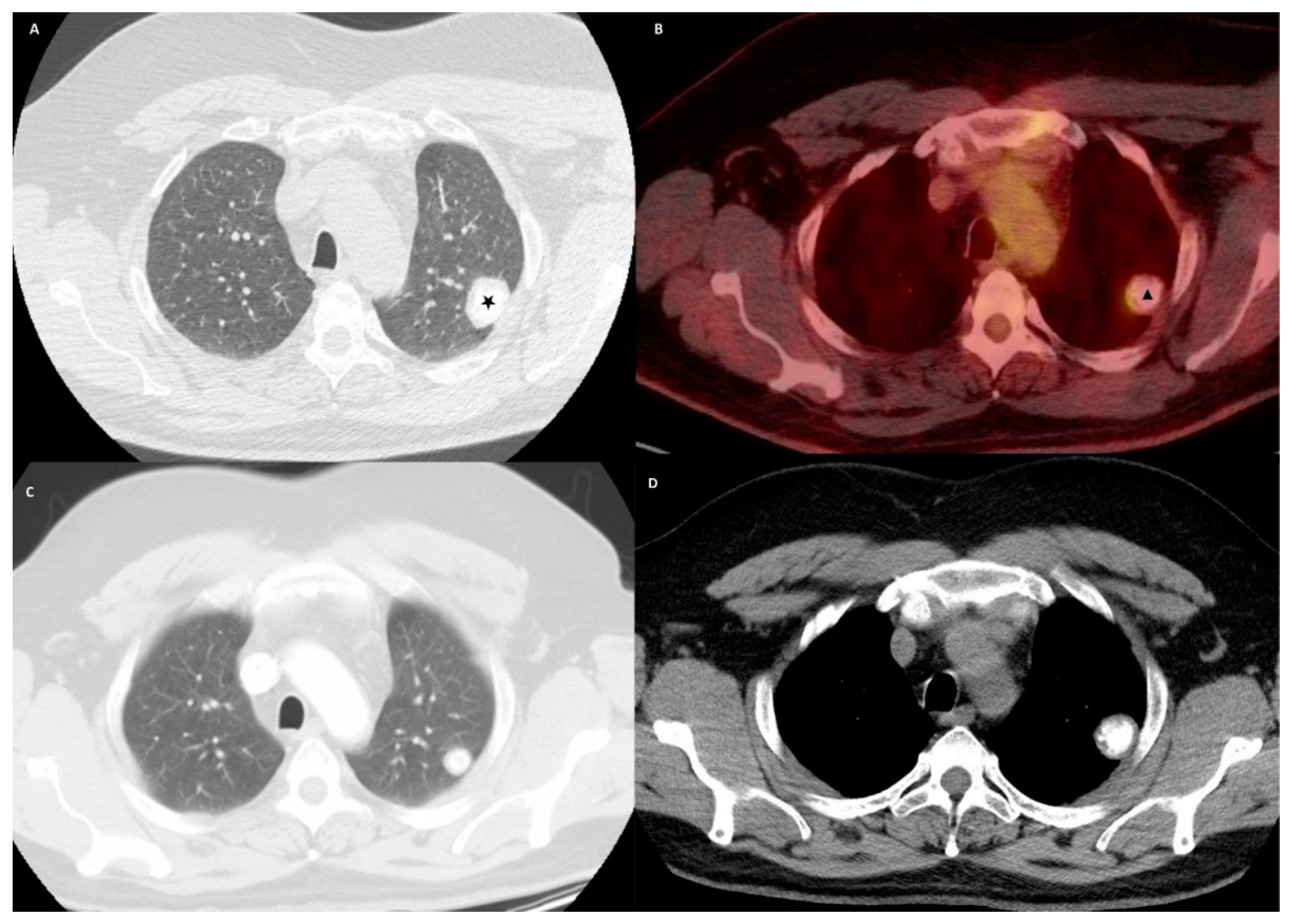 Clinpract 11 00007 g001