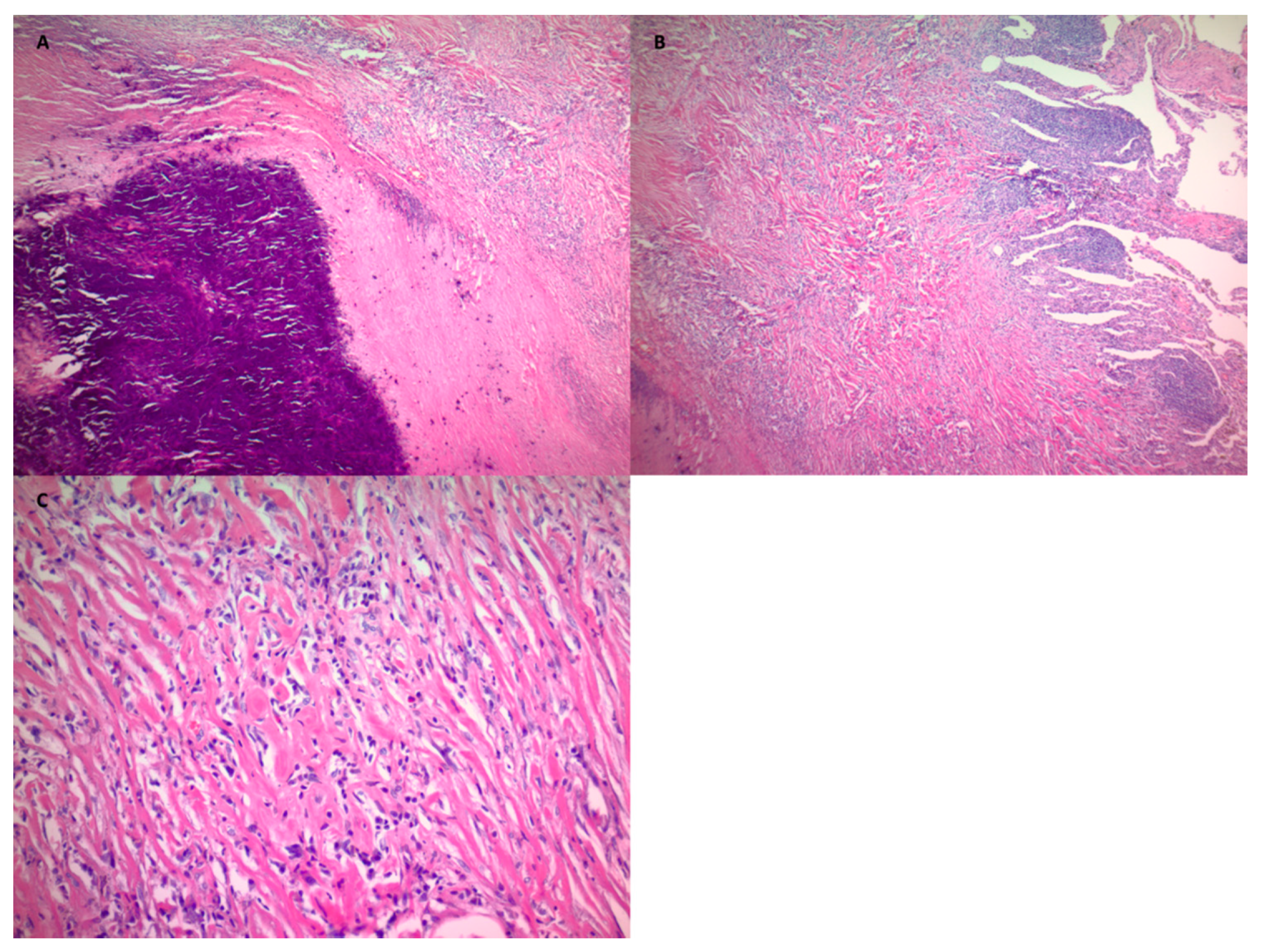 Clinpract 11 00007 g002