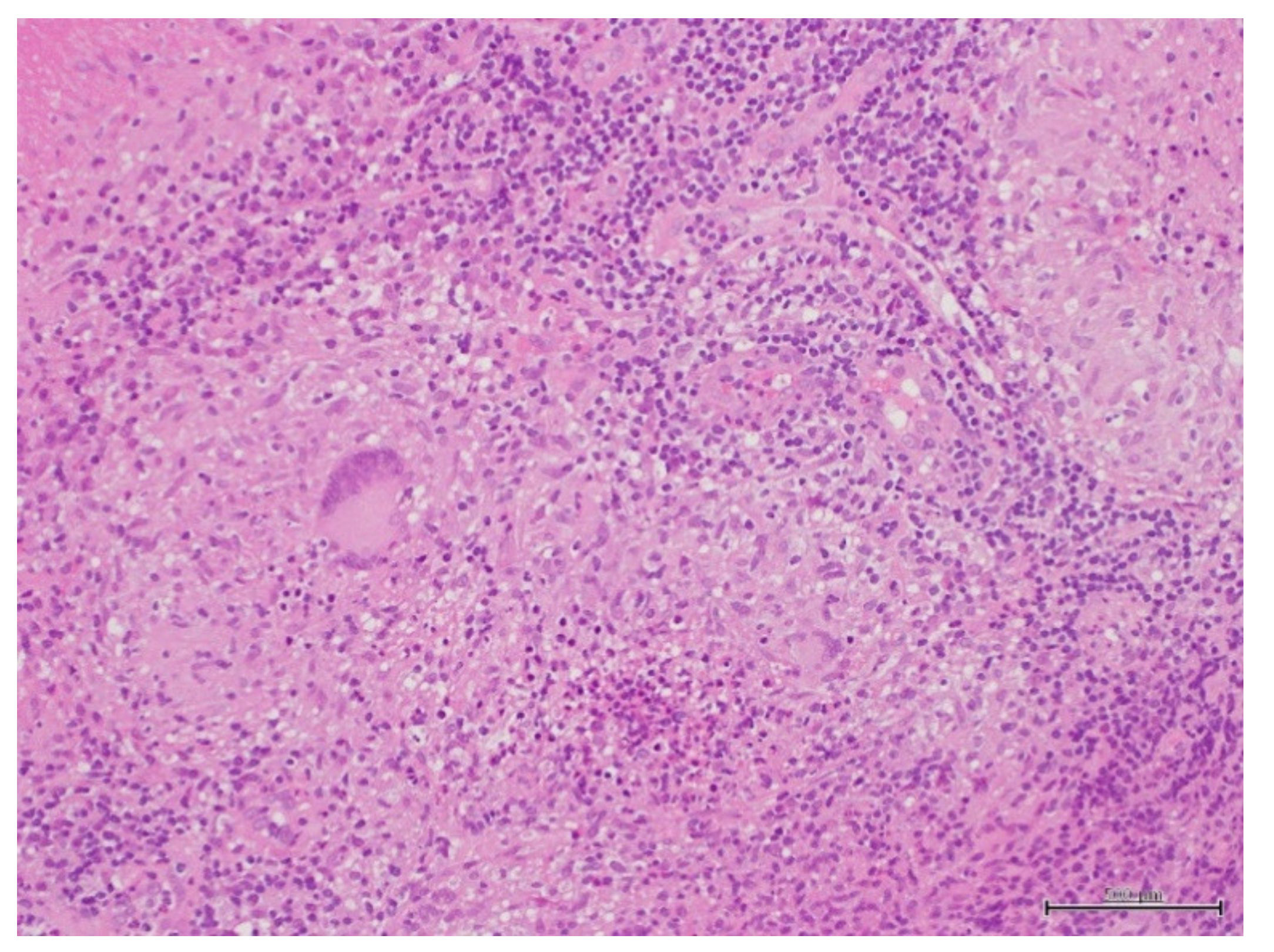 Clinpract 11 00008 g003