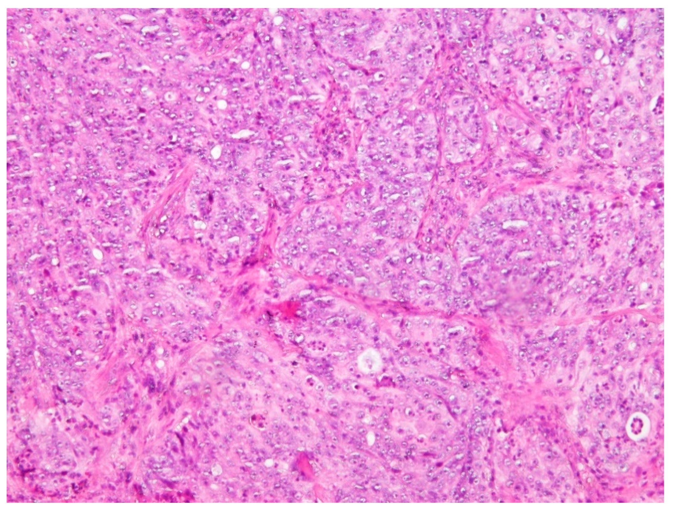 Clinpract 11 00010 g003