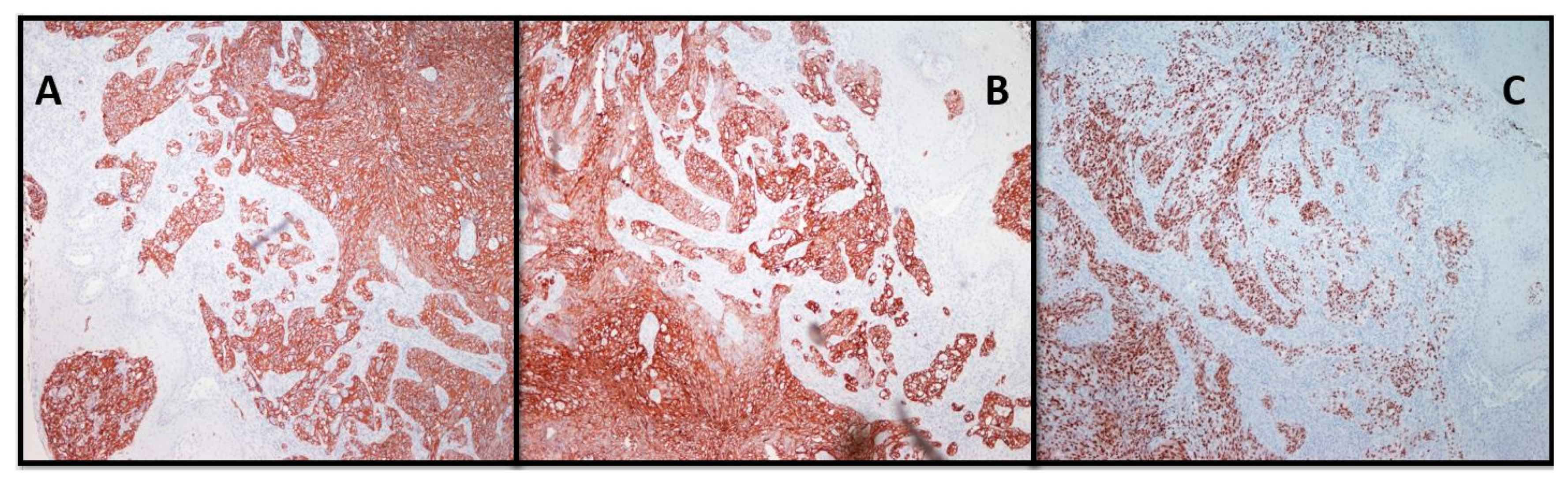 Clinpract 11 00010 g004