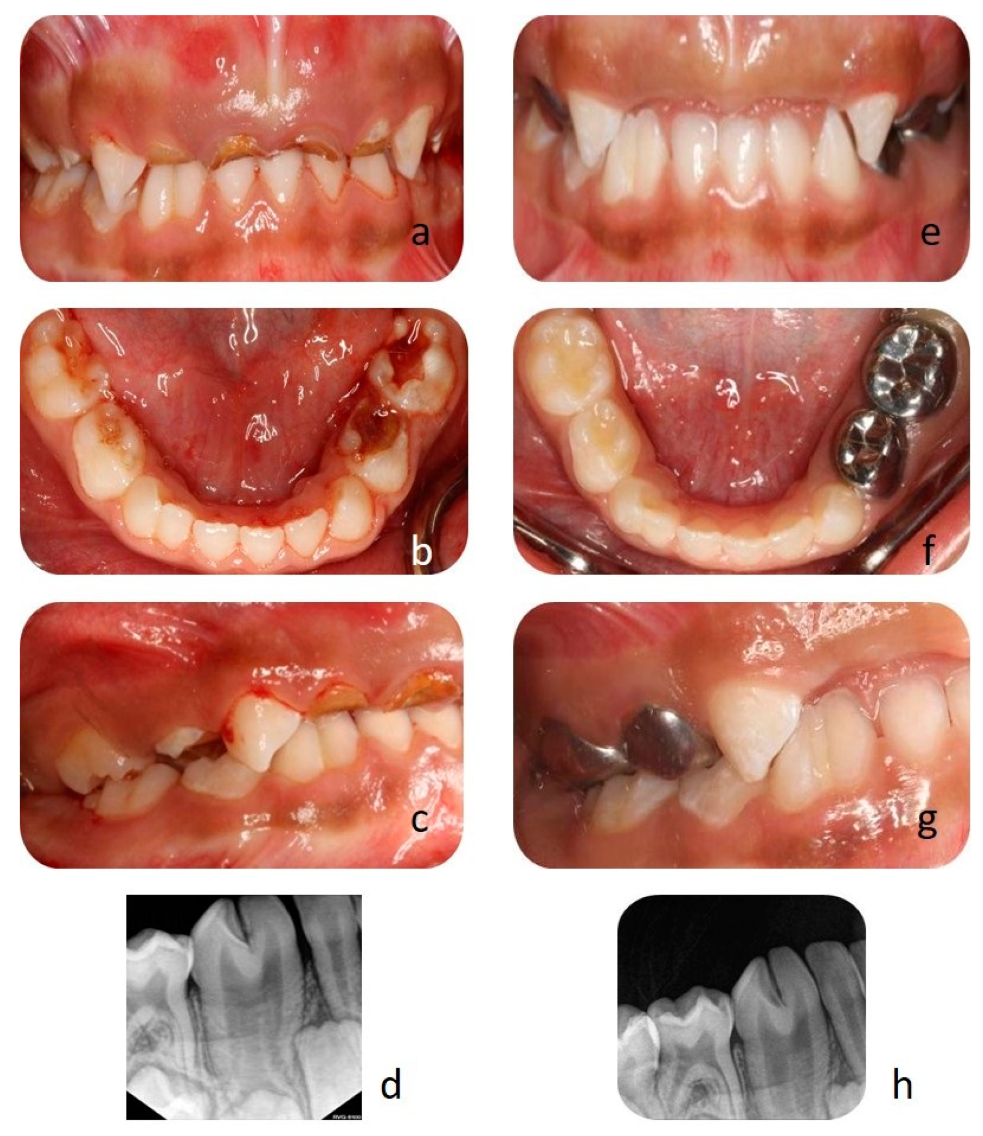 Clinpract 11 00016 g001