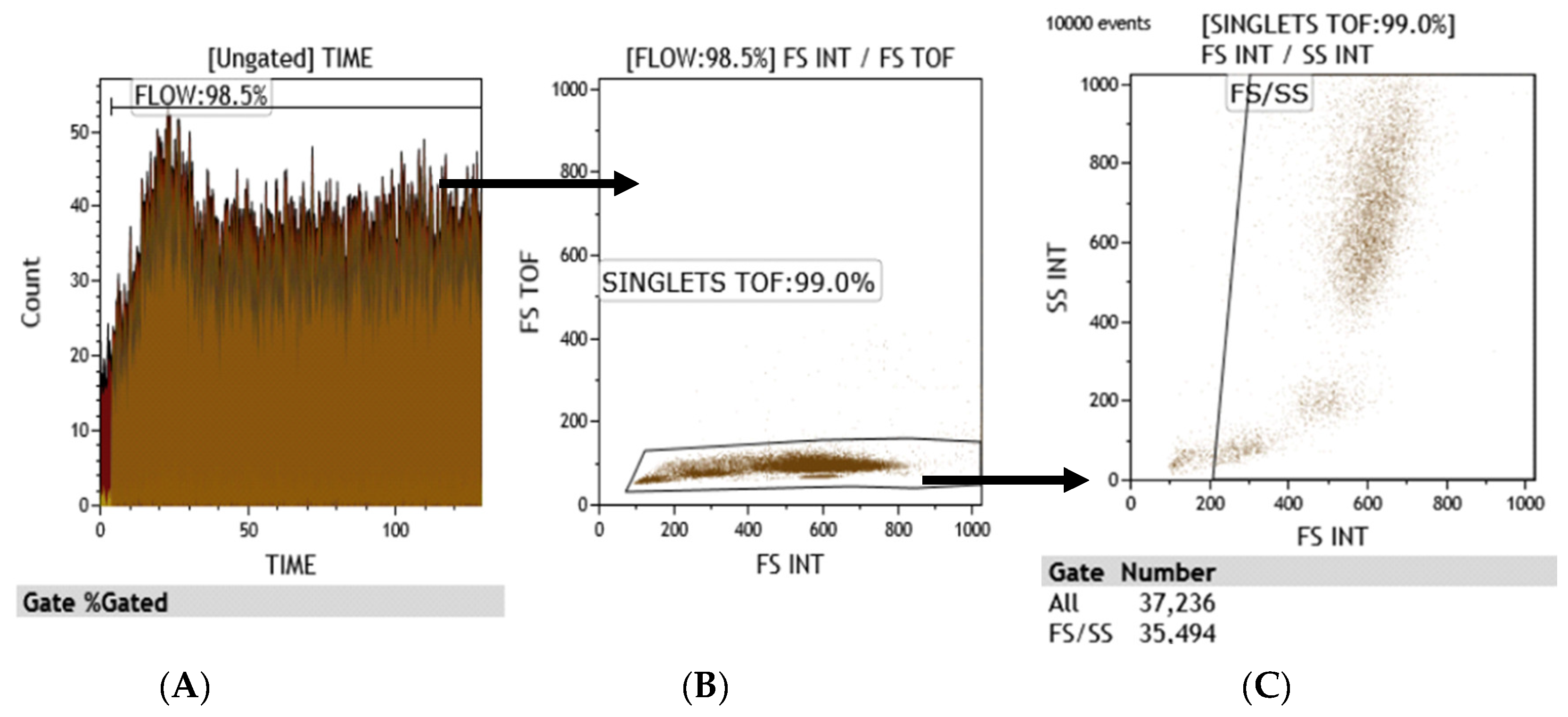 Clinpract 11 00021 g002