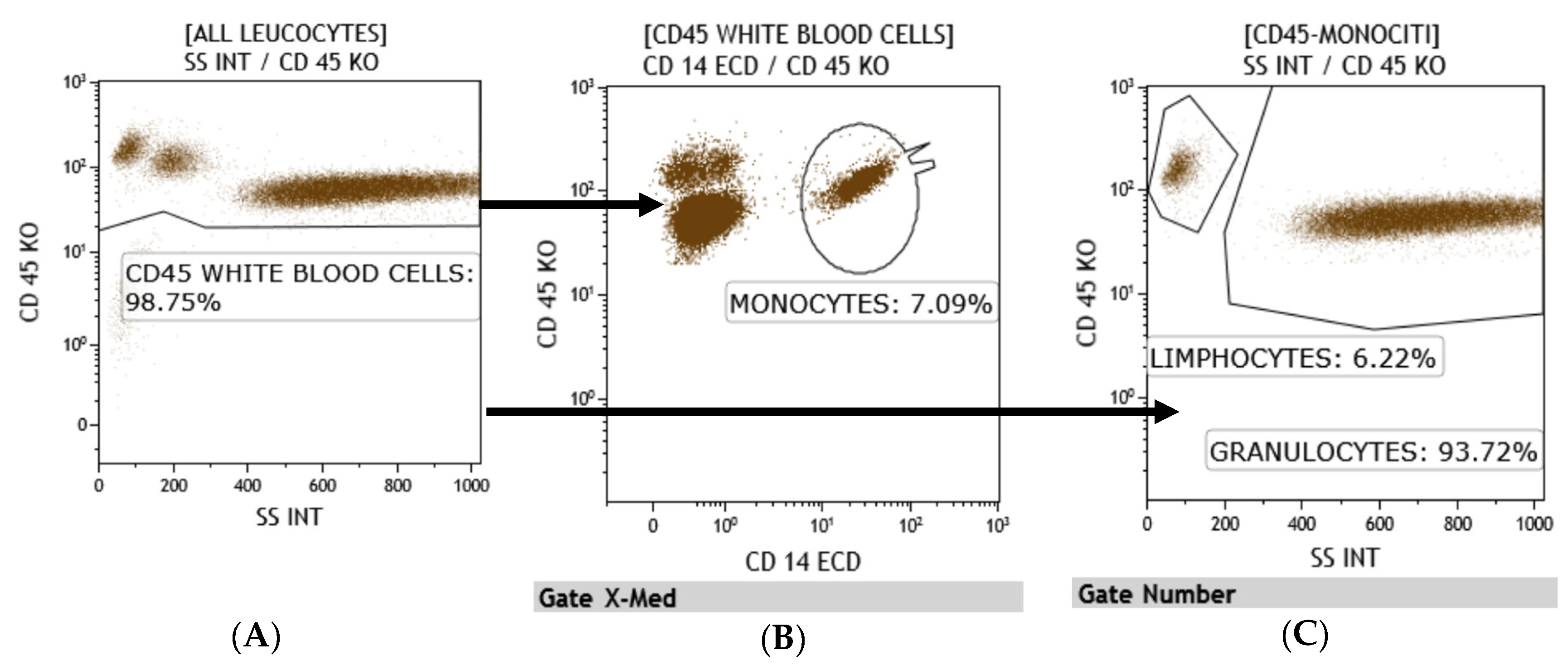 Clinpract 11 00021 g003