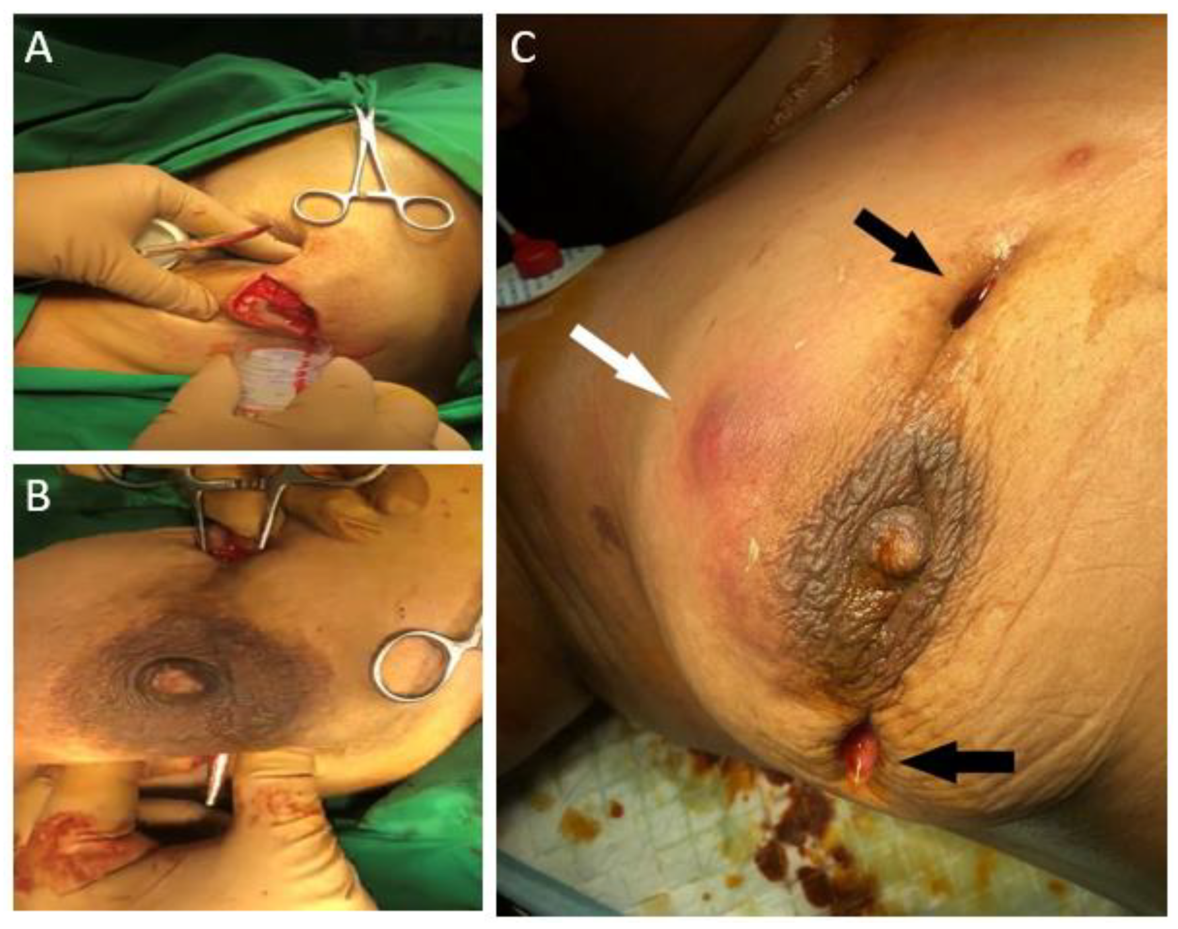 Clinpract 11 00034 g001