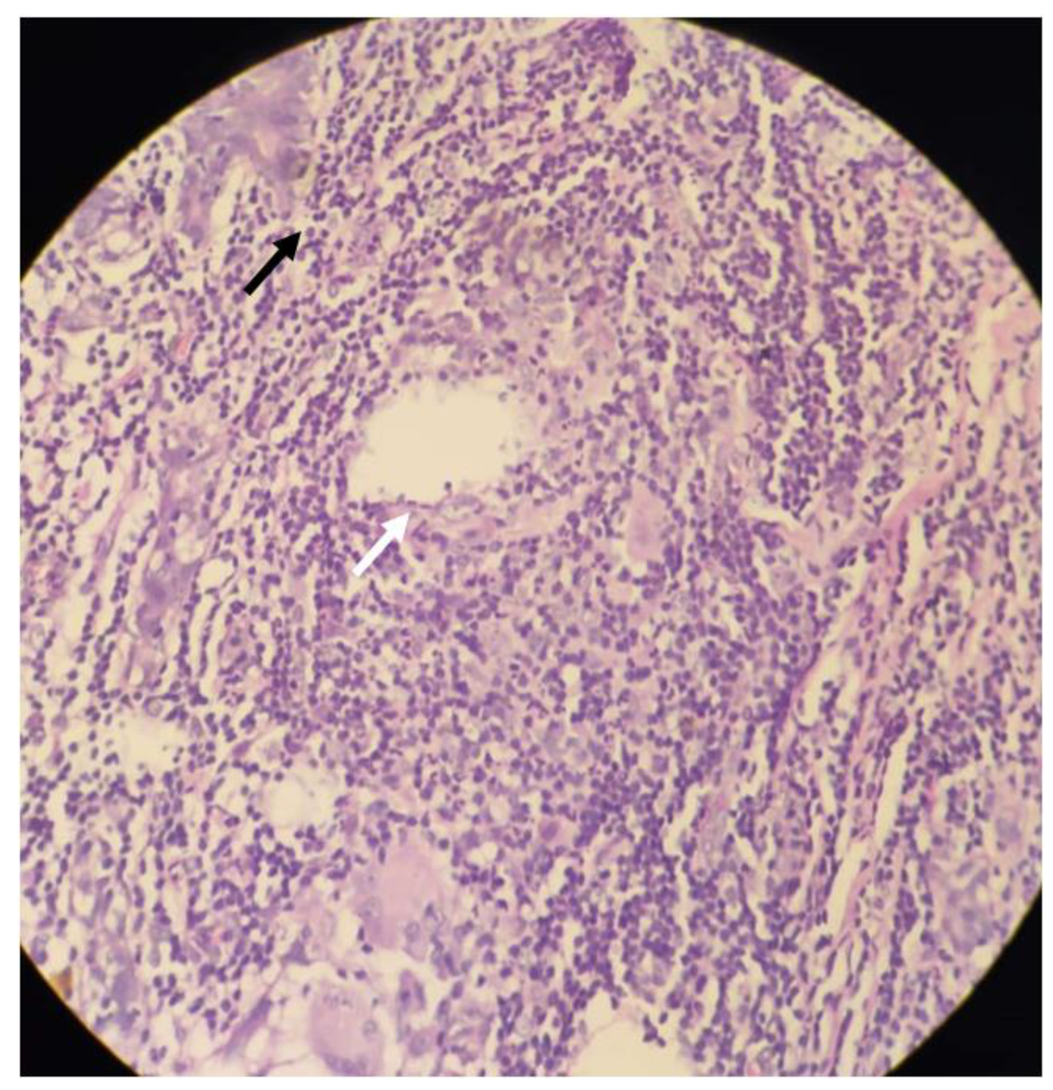 Clinpract 11 00034 g002