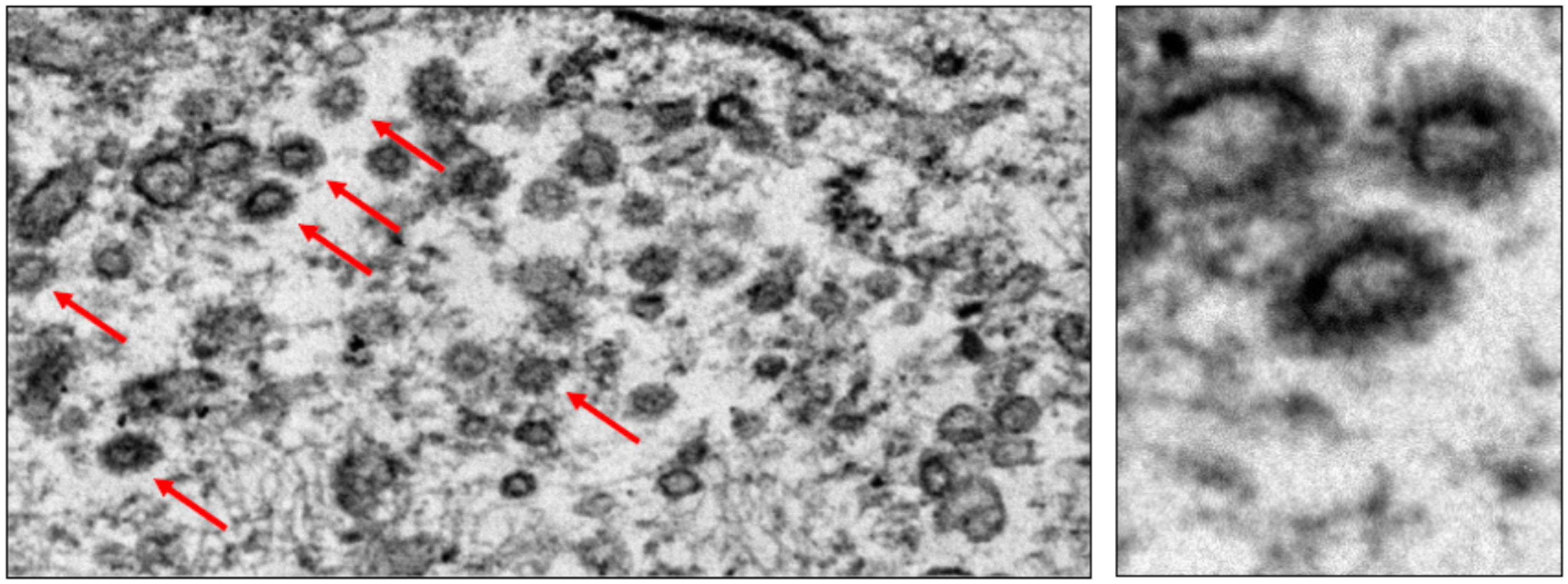 Clinpract 11 00037 g003