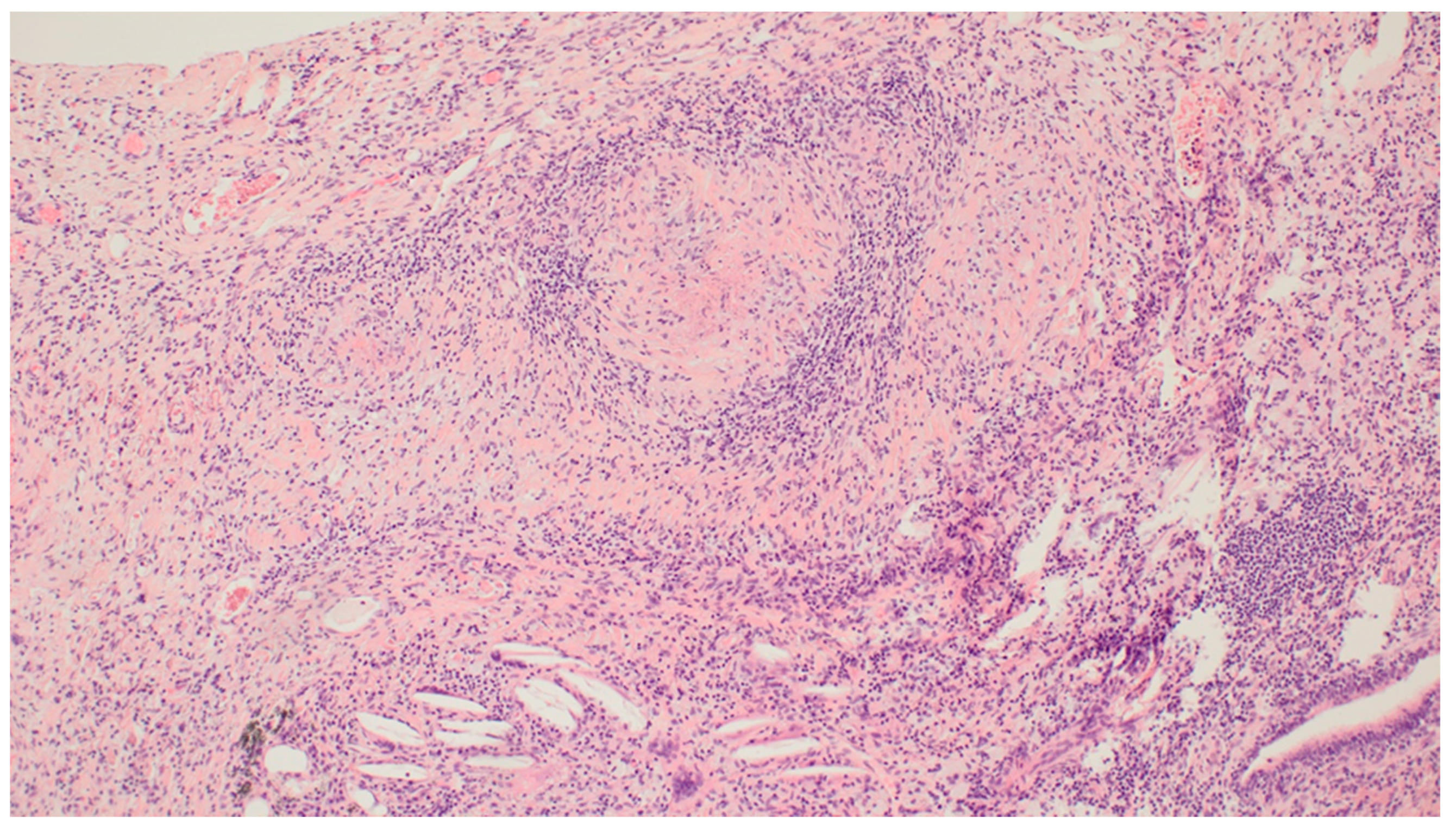 Clinpract 11 00042 g005