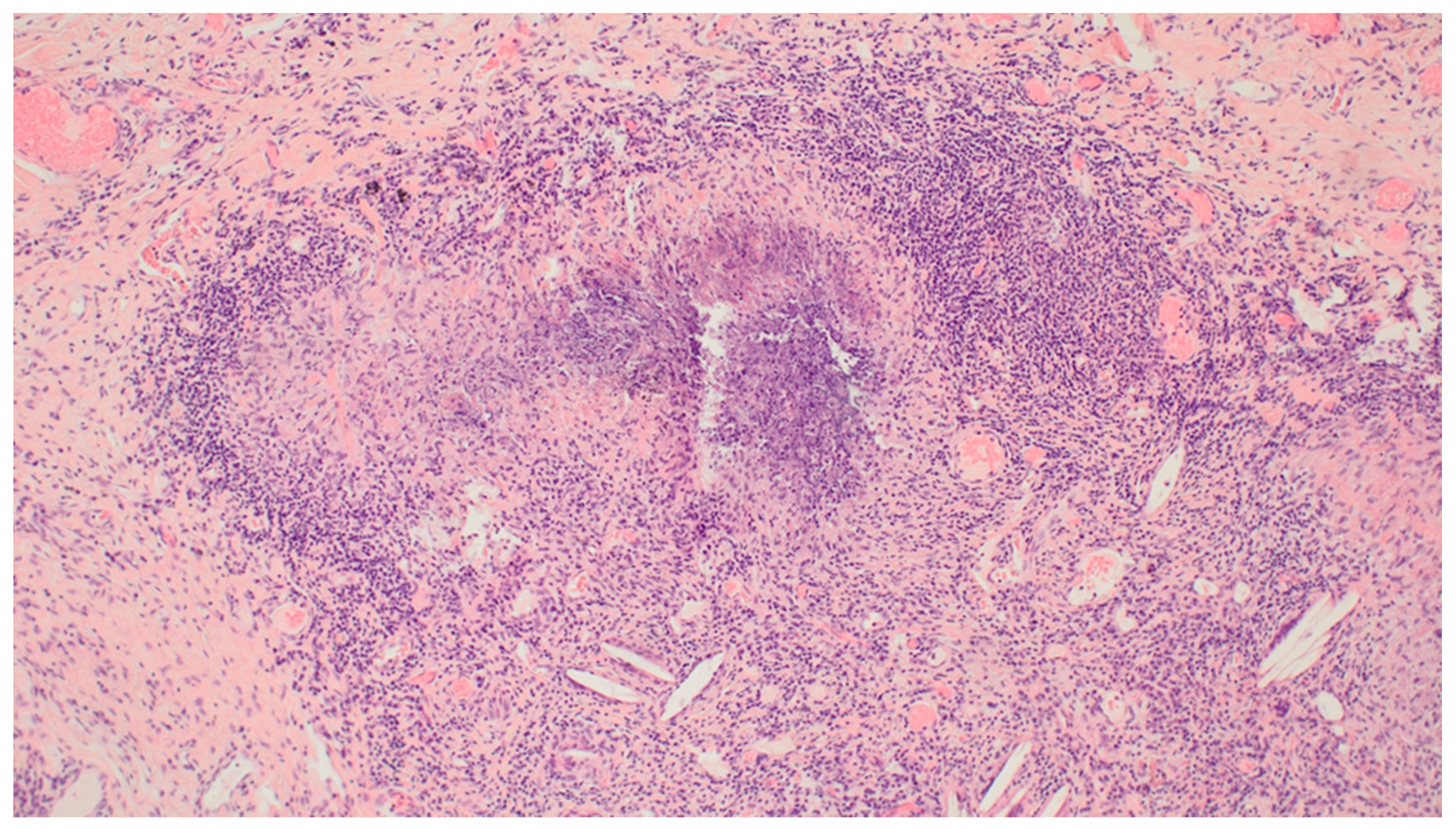 Clinpract 11 00042 g006