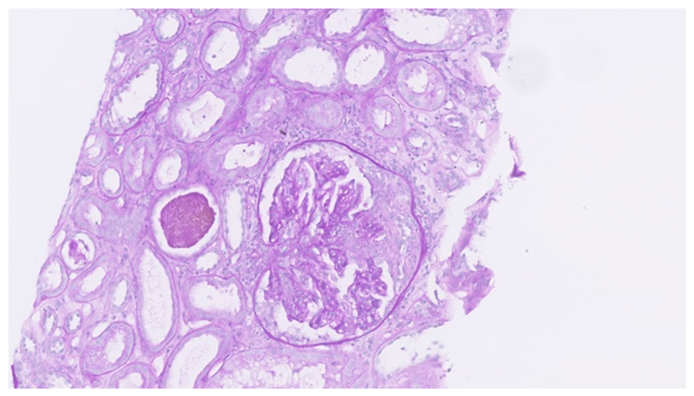 Clinpract 11 00042 g007