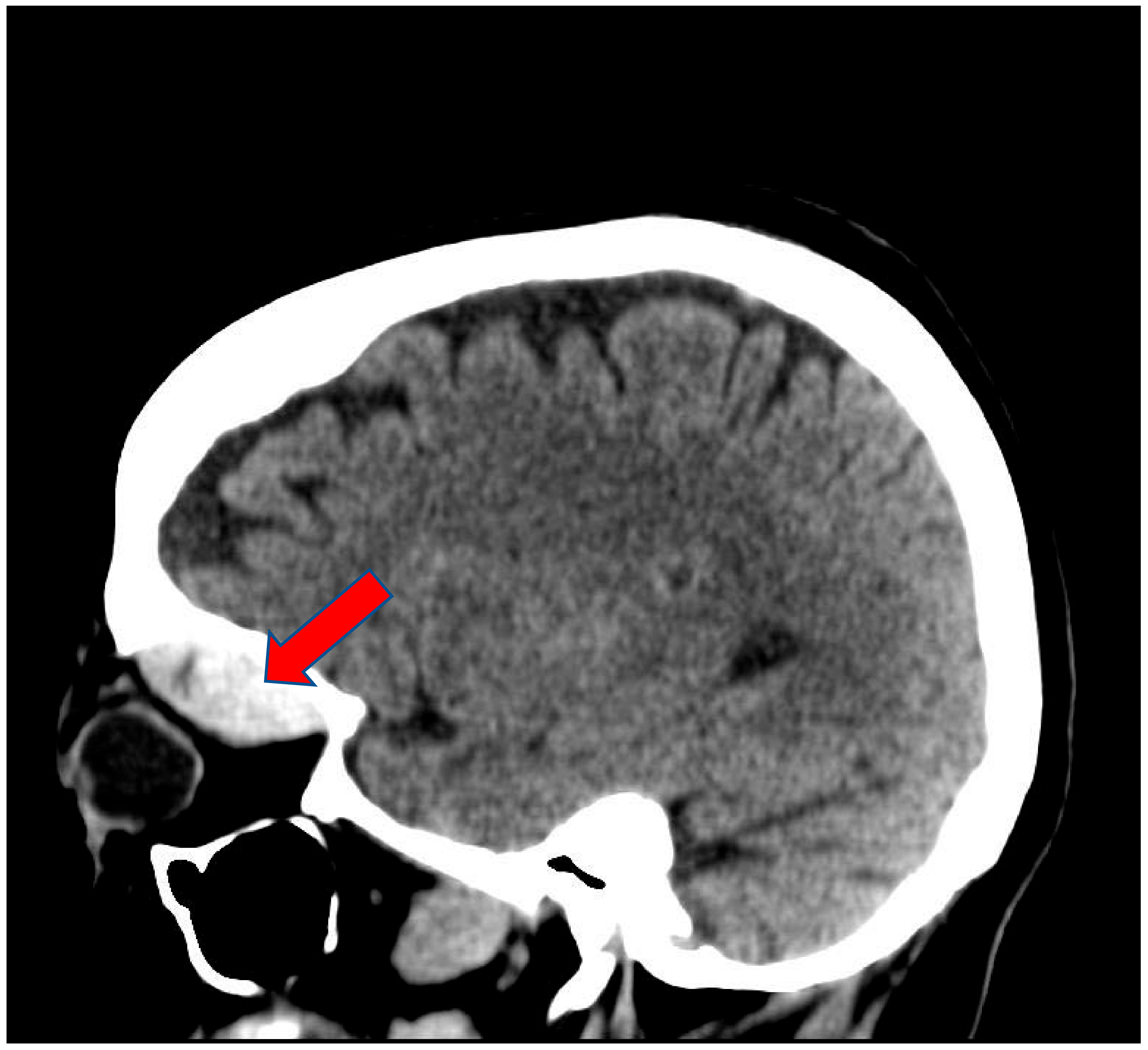 Clinpract 11 00046 g002
