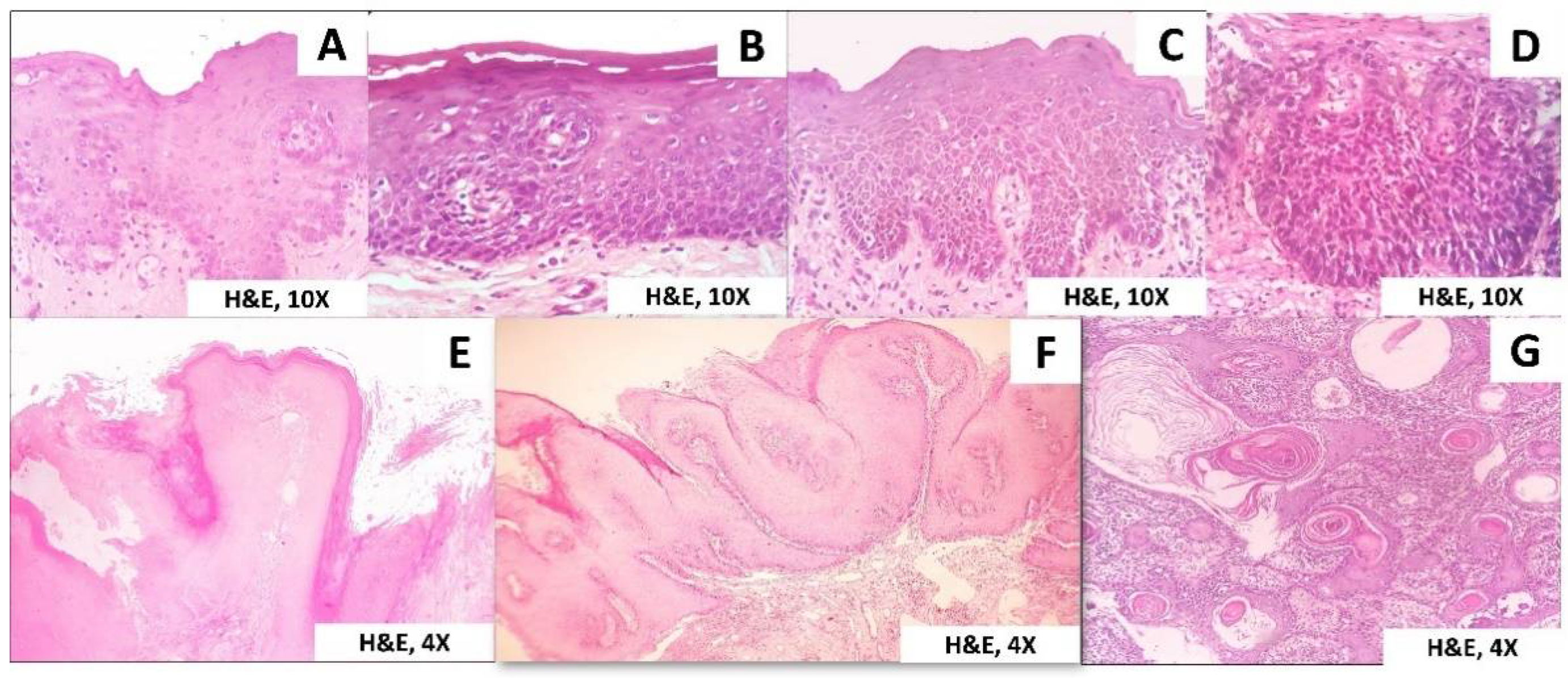 Clinpract 11 00048 g002