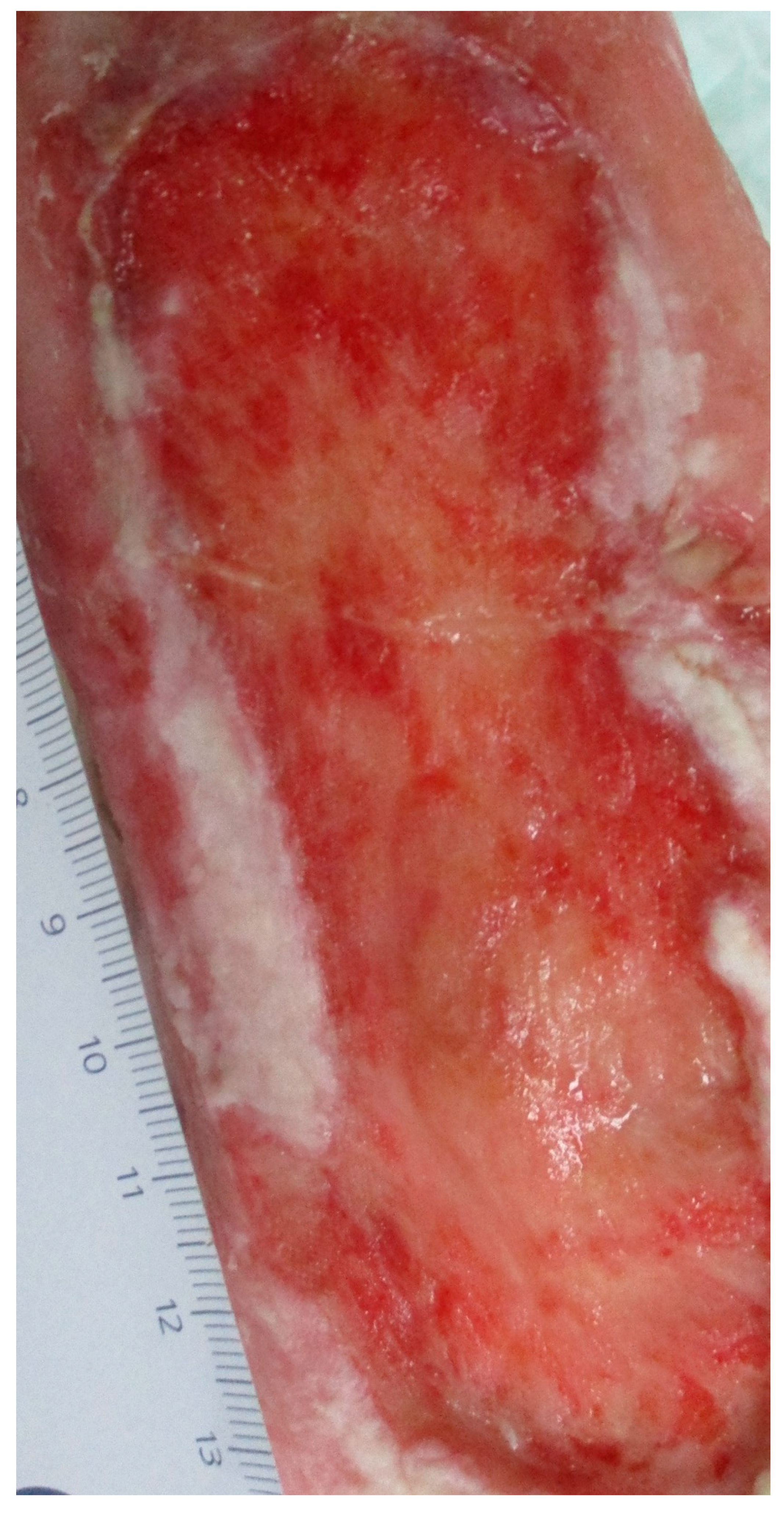 Clinpract 11 00049 g003a