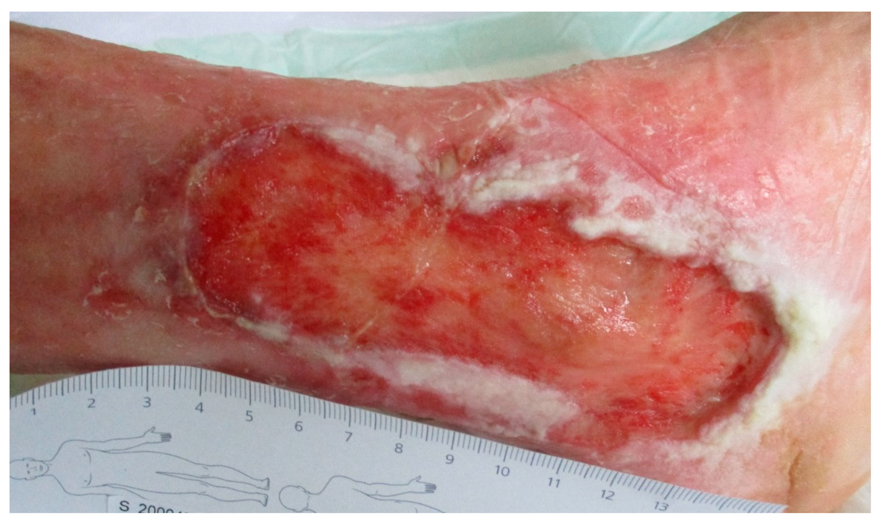 Clinpract 11 00049 g003b