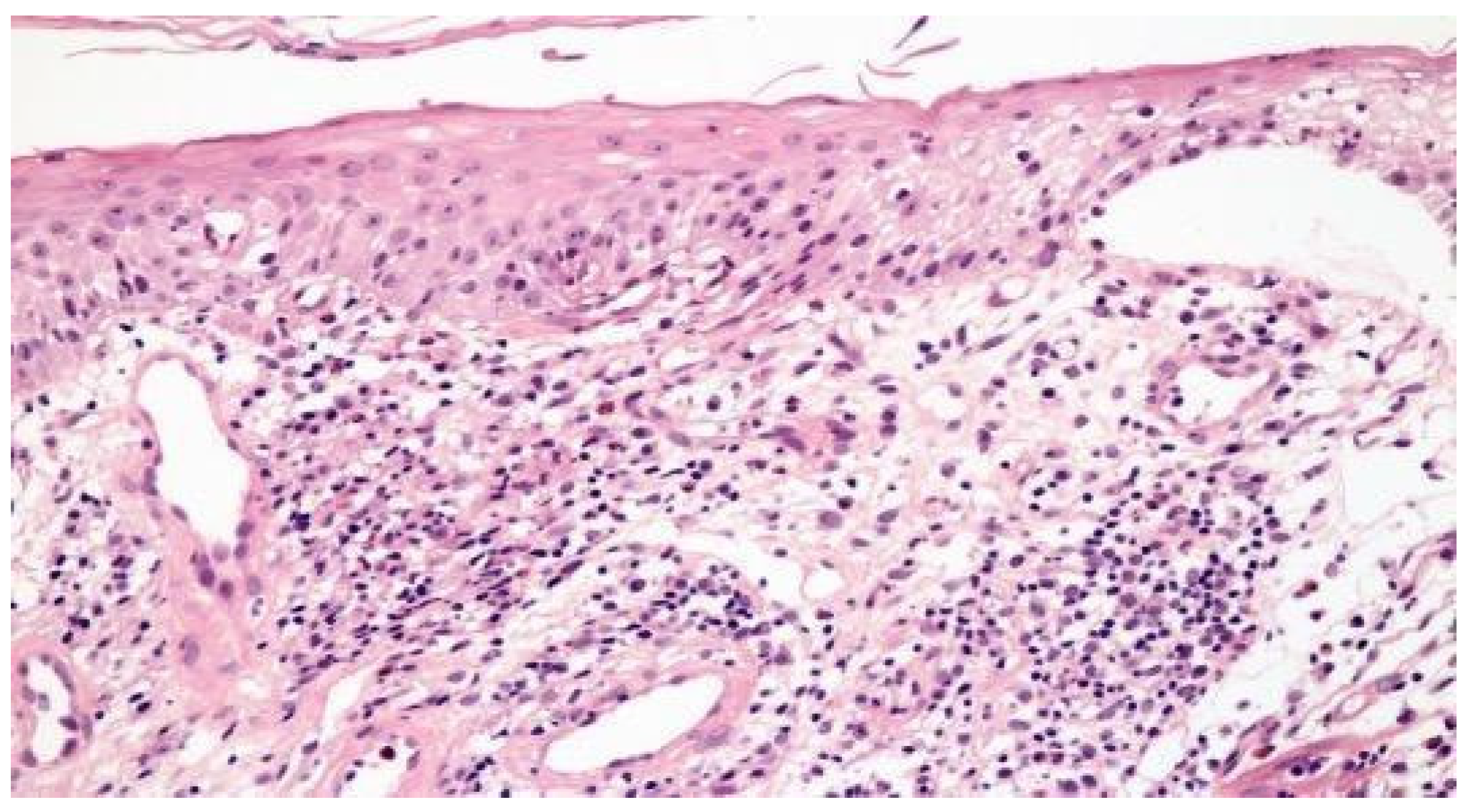 Clinpract 11 00052 g001 Clinpract 11 00052 g001