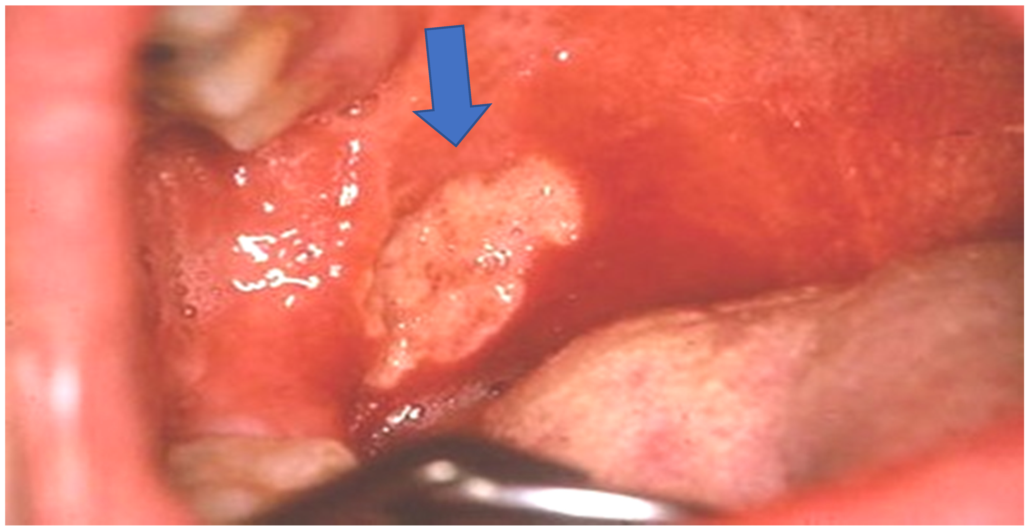 Clinpract 11 00055 g003