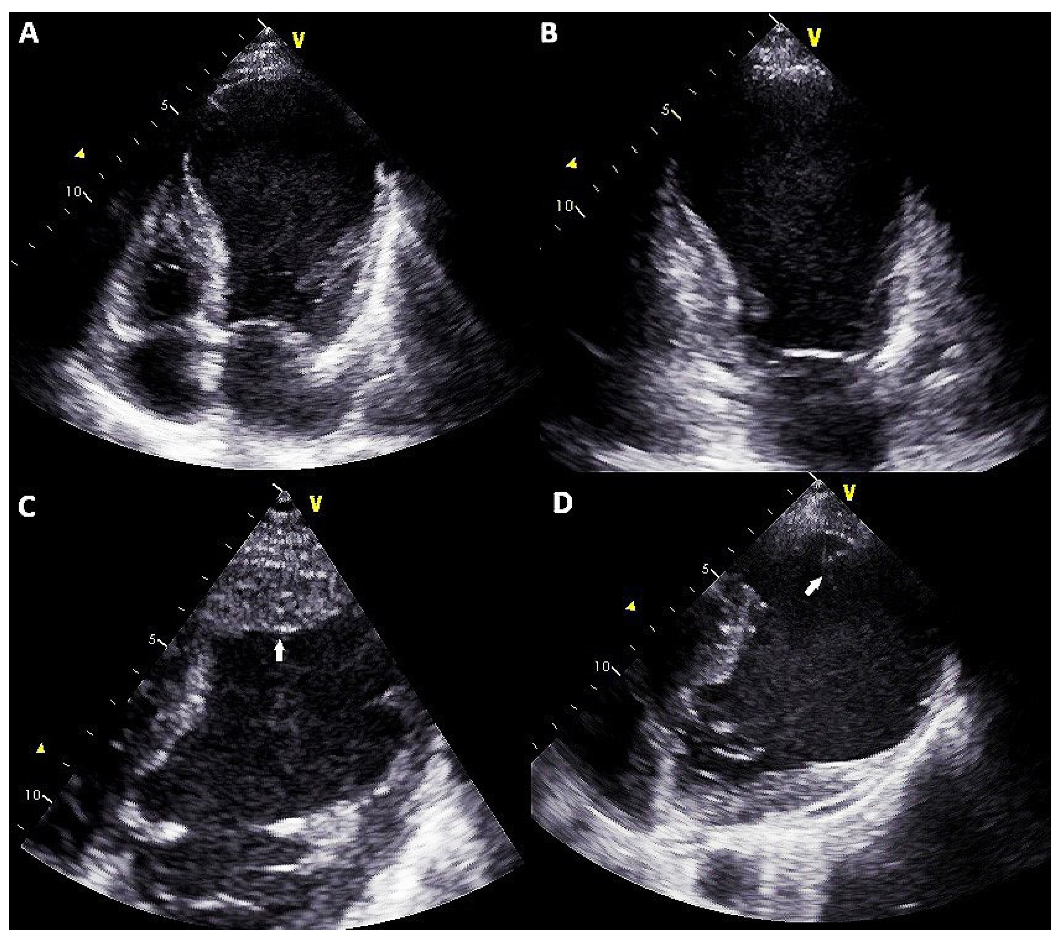 Clinpract 11 00057 g001