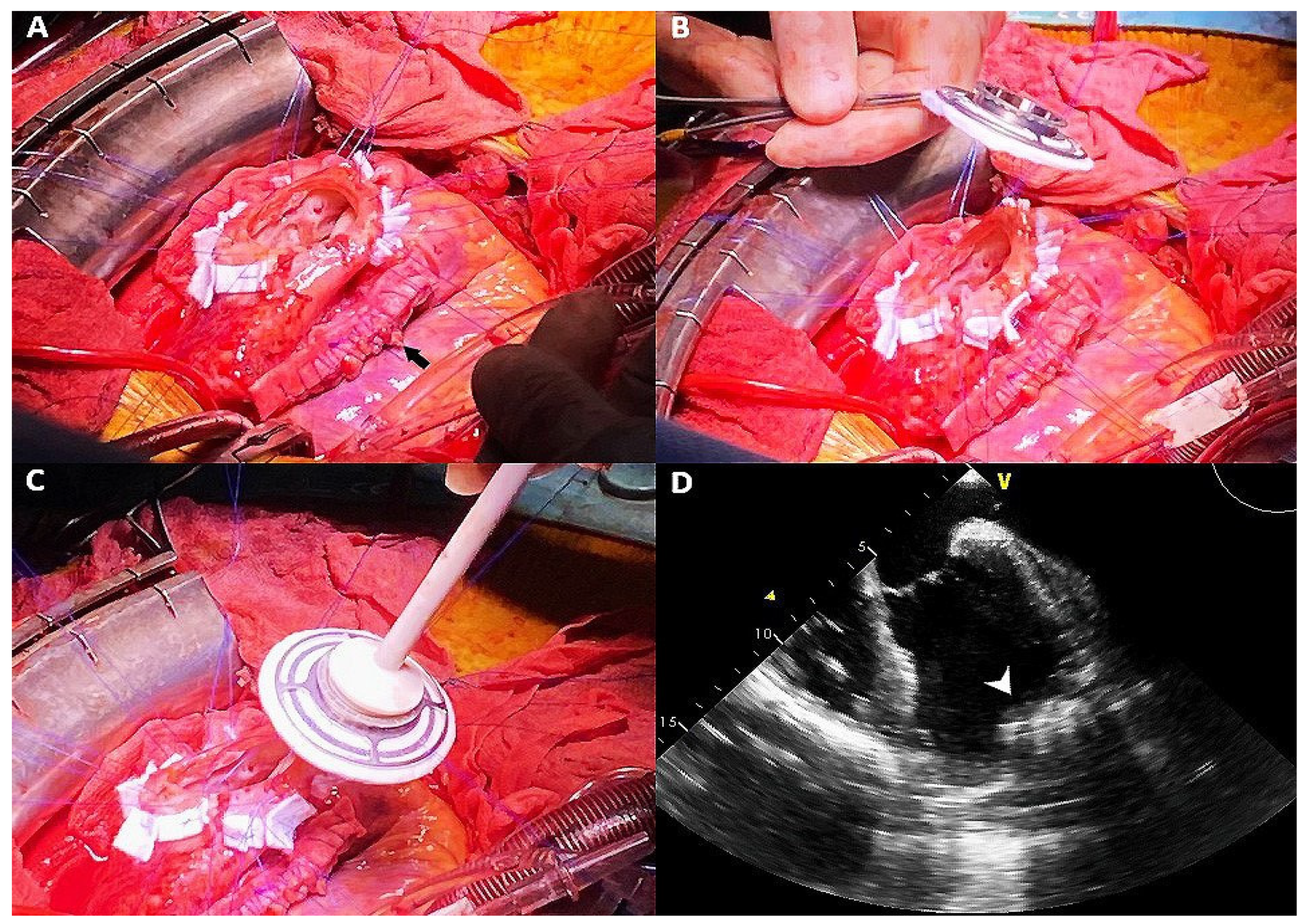 Clinpract 11 00057 g002