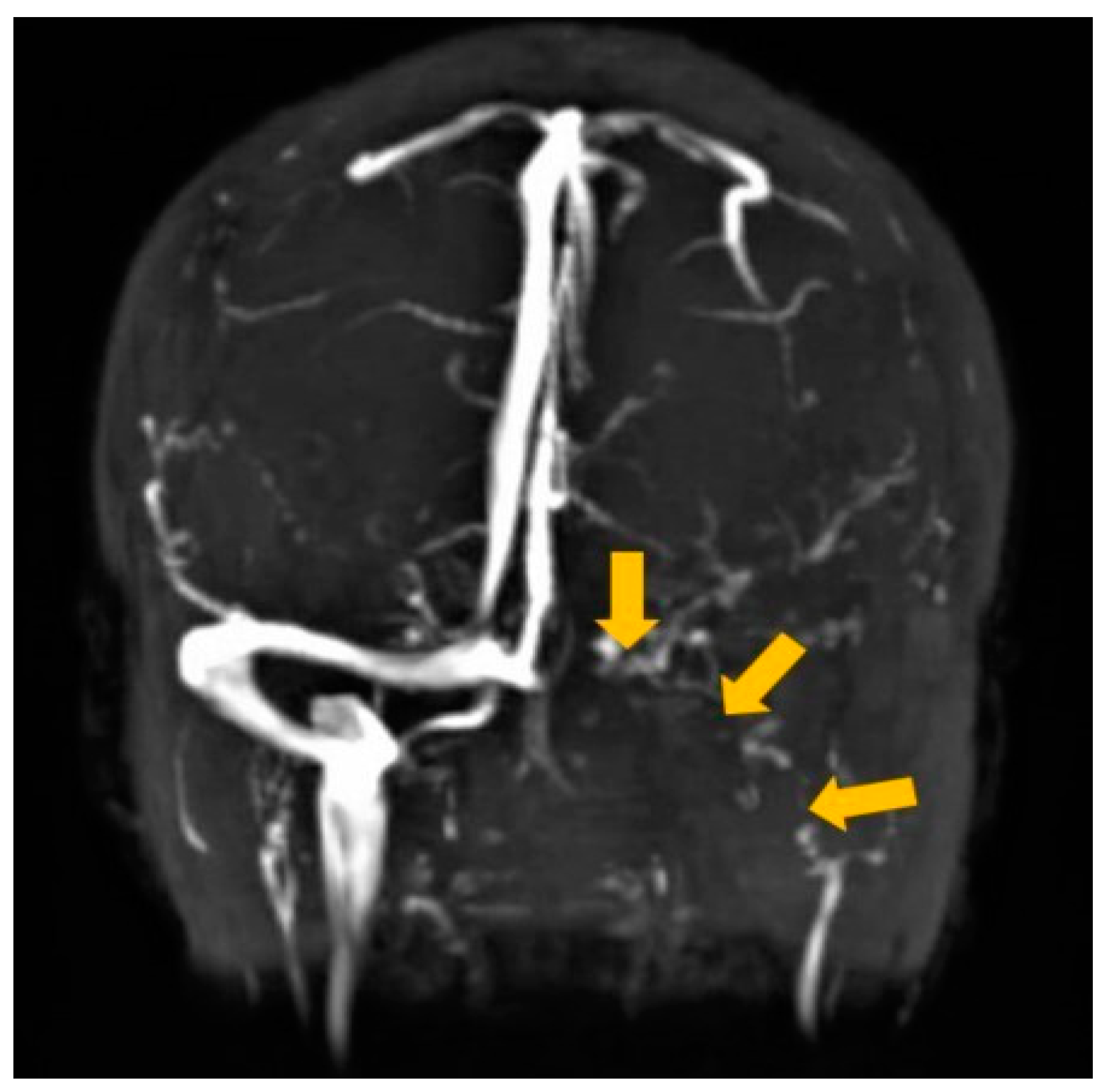 Clinpract 11 00075 g002