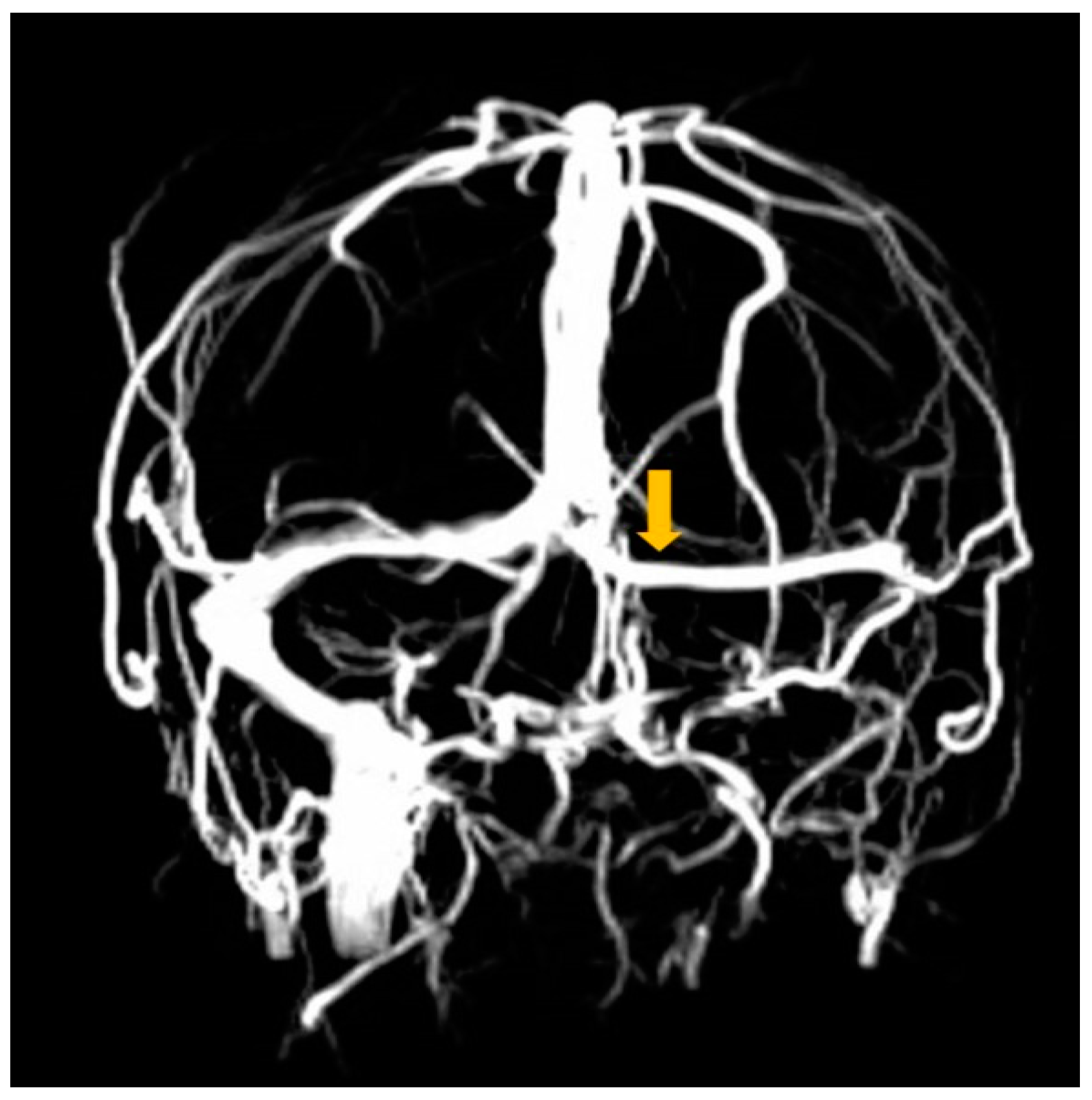Clinpract 11 00075 g003