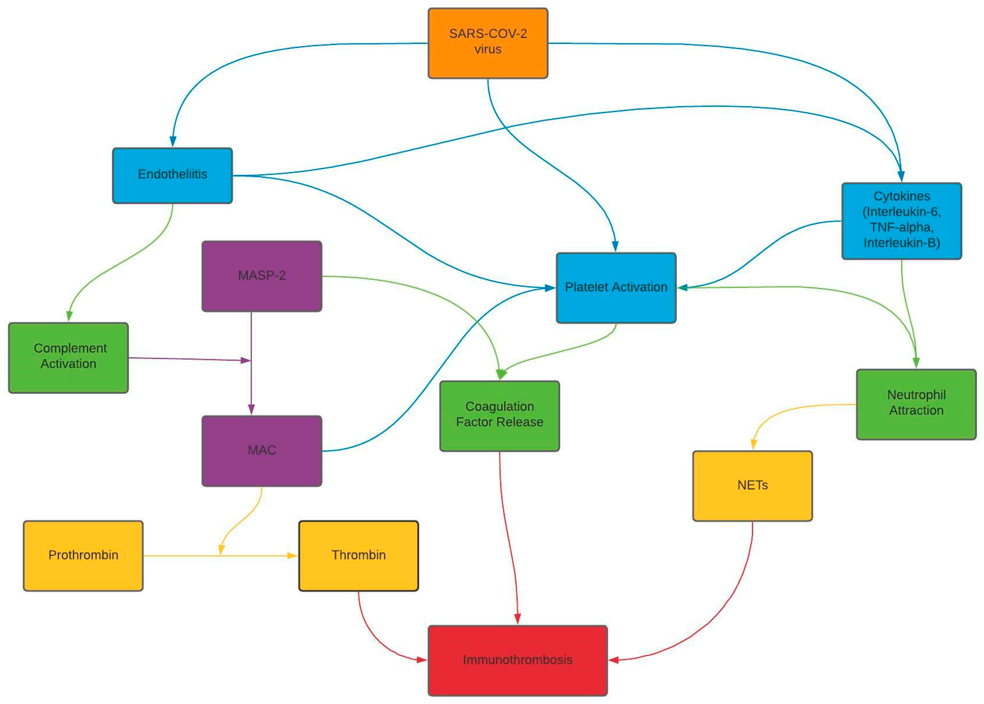 Clinpract 11 00075 sch001