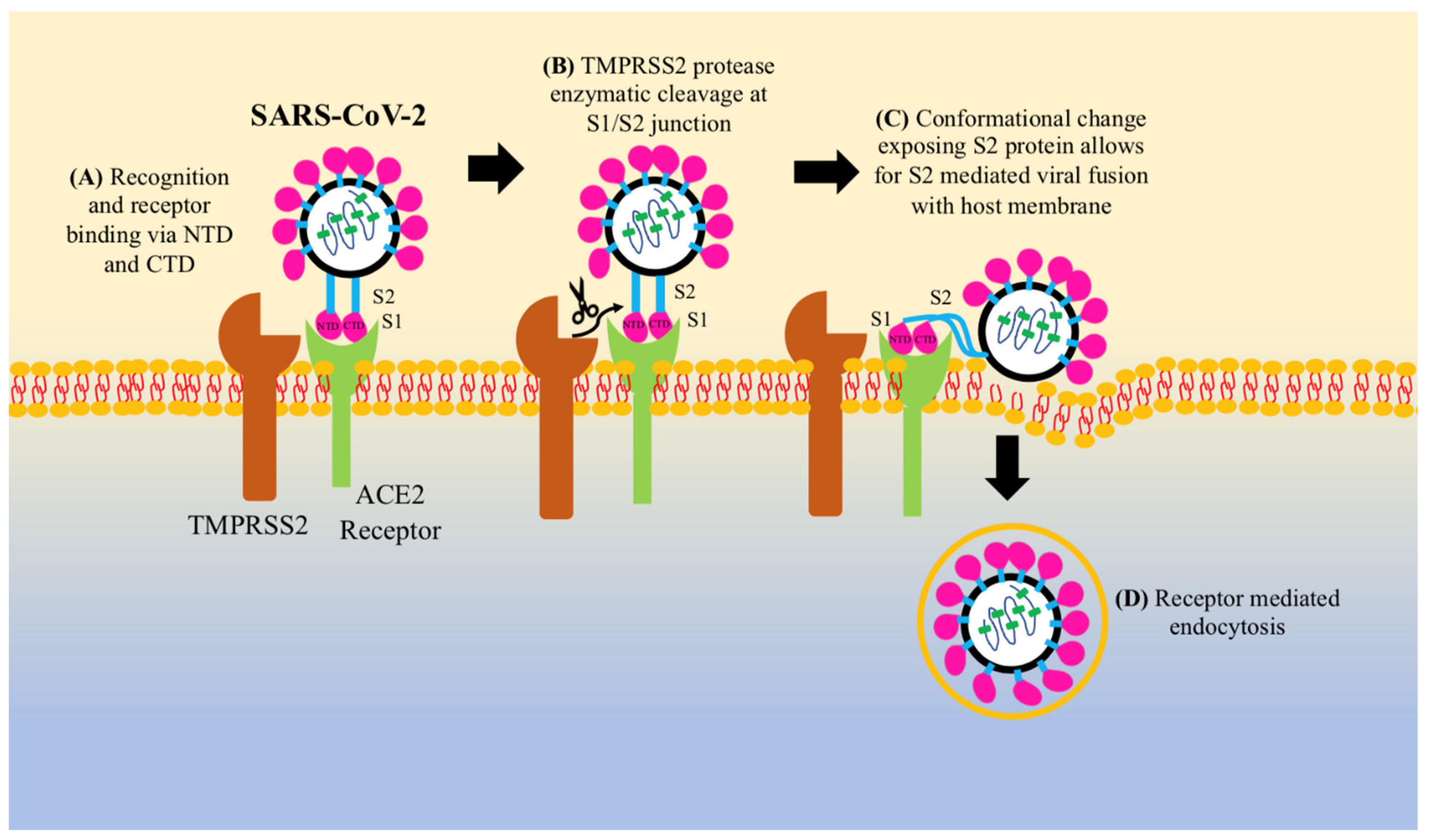 Clinpract 11 00085 g002