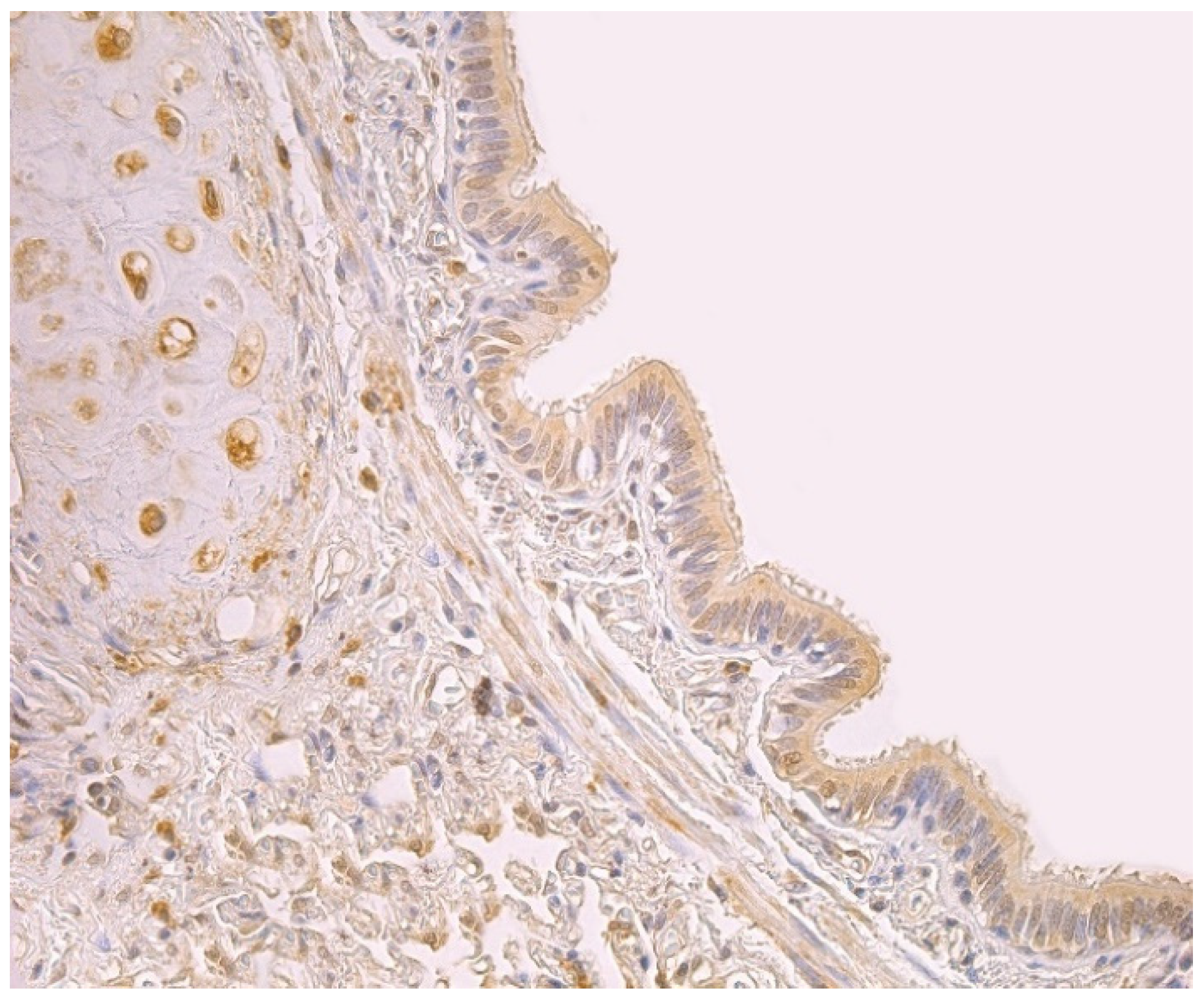 Clinpract 11 00088 g001