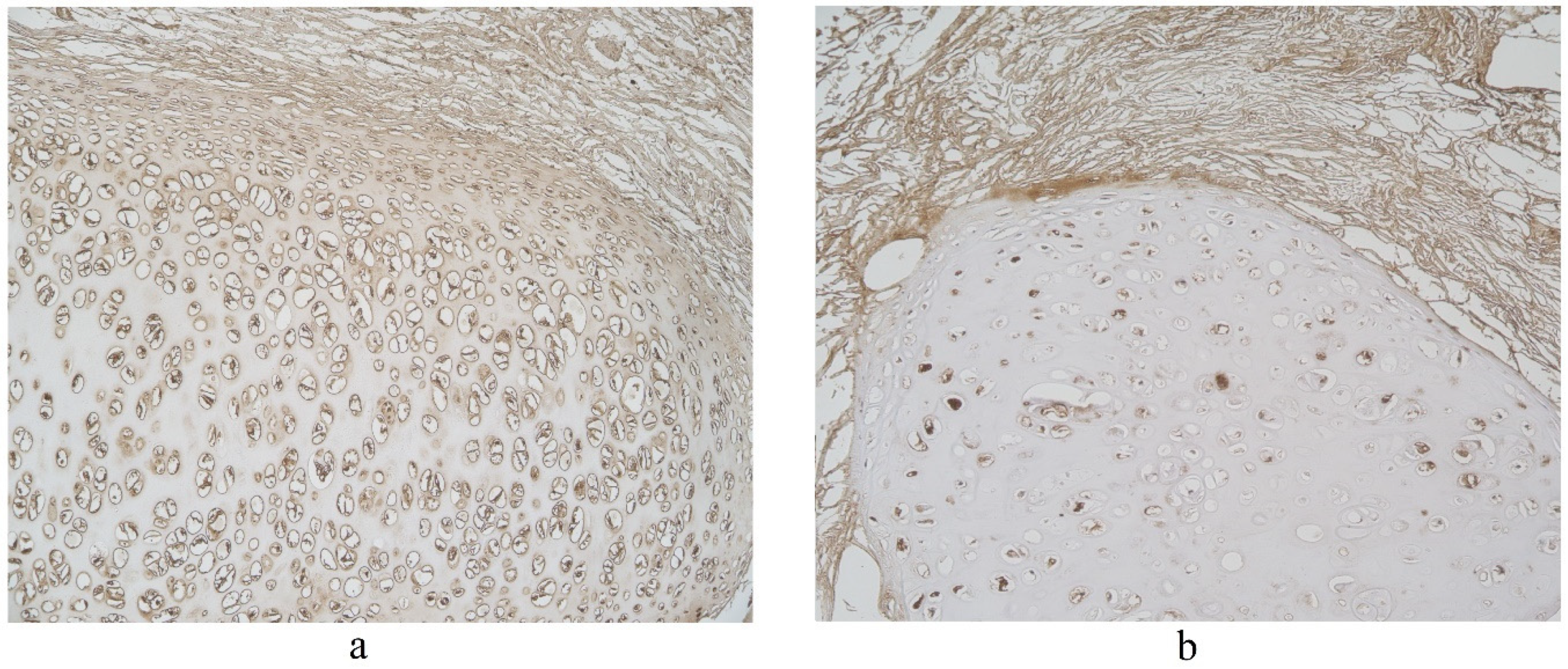 Clinpract 11 00088 g005