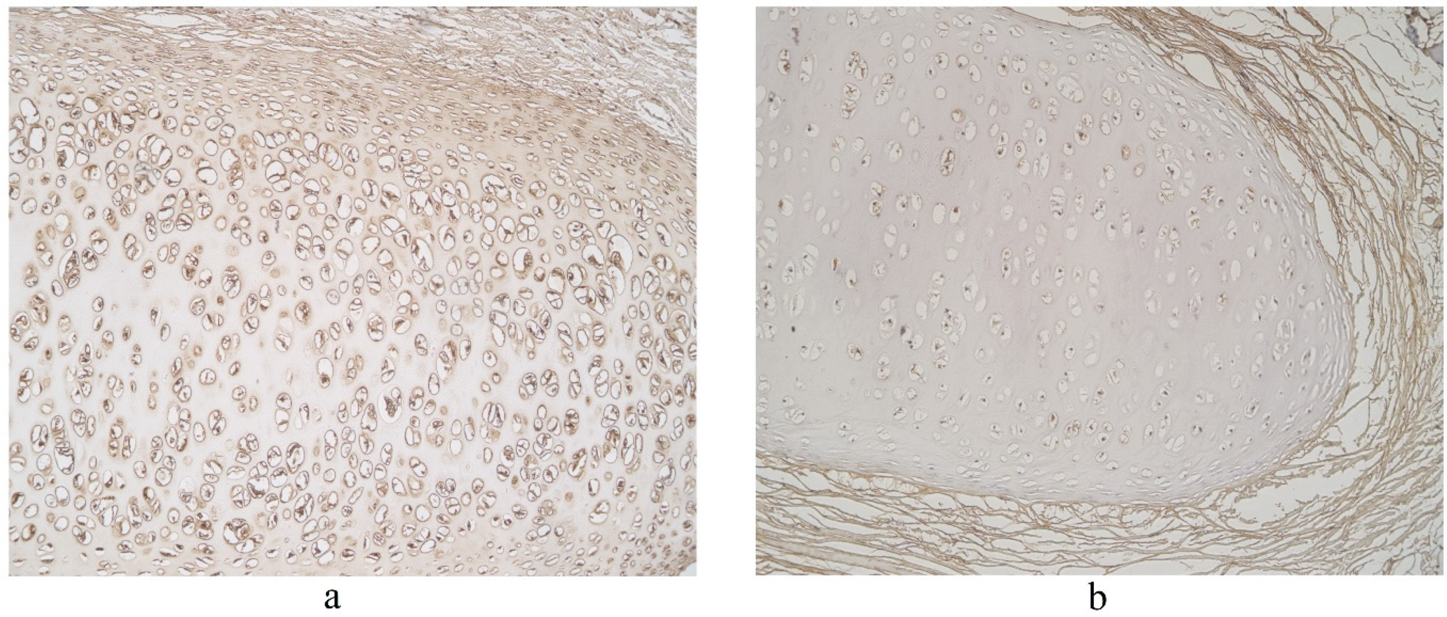 Clinpract 11 00088 g009