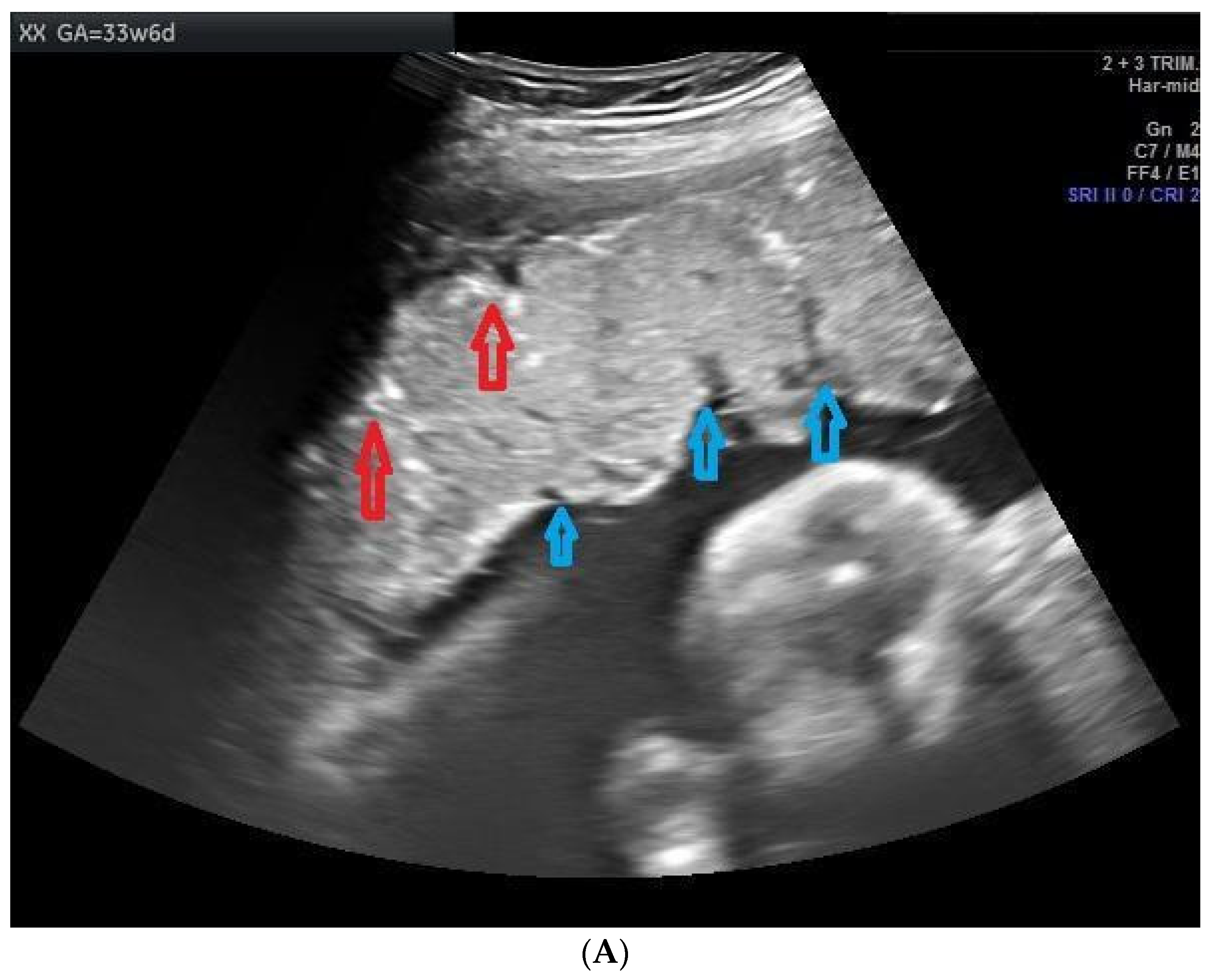 Clinpract 11 00099 g002a
