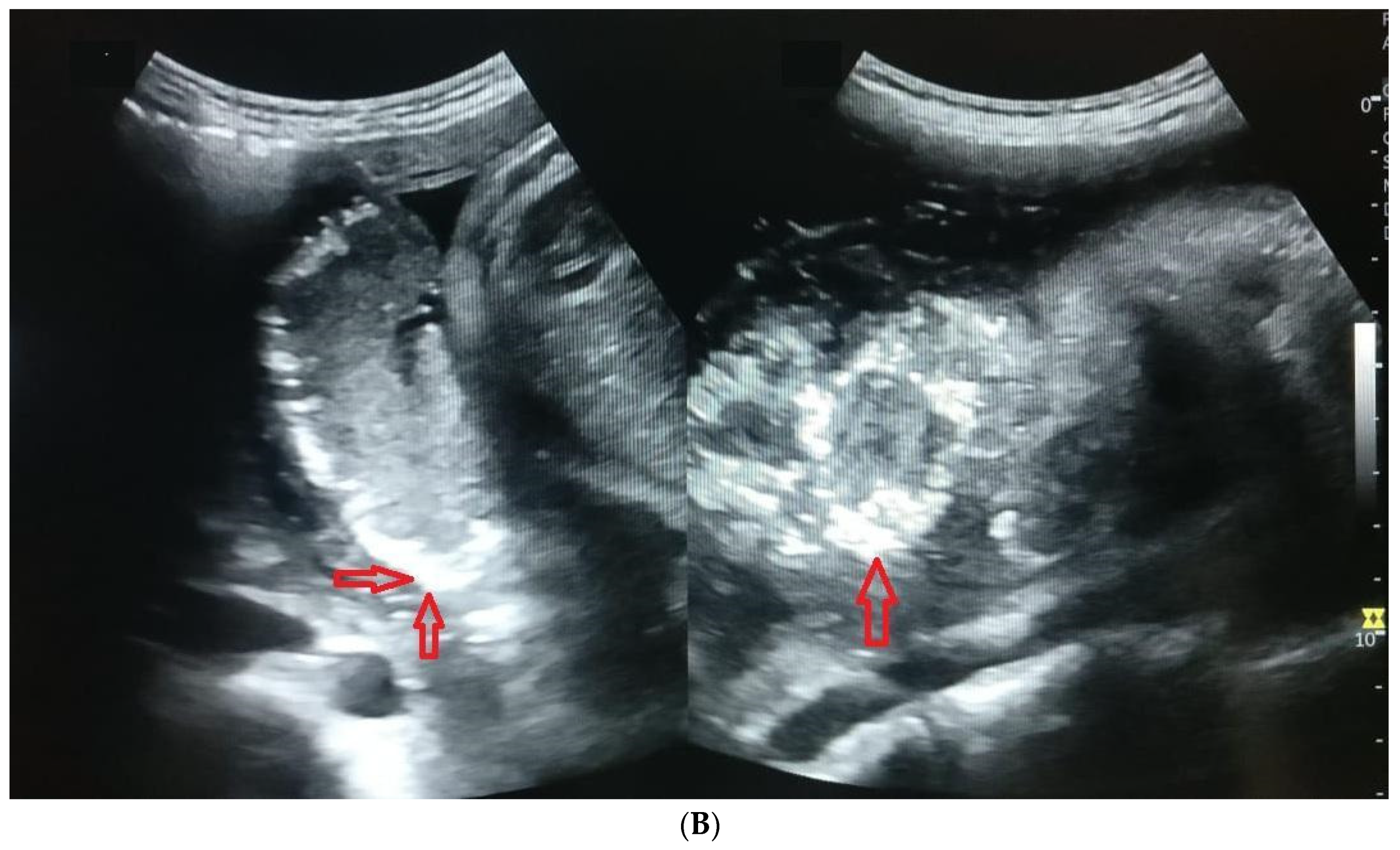 Clinpract 11 00099 g002b