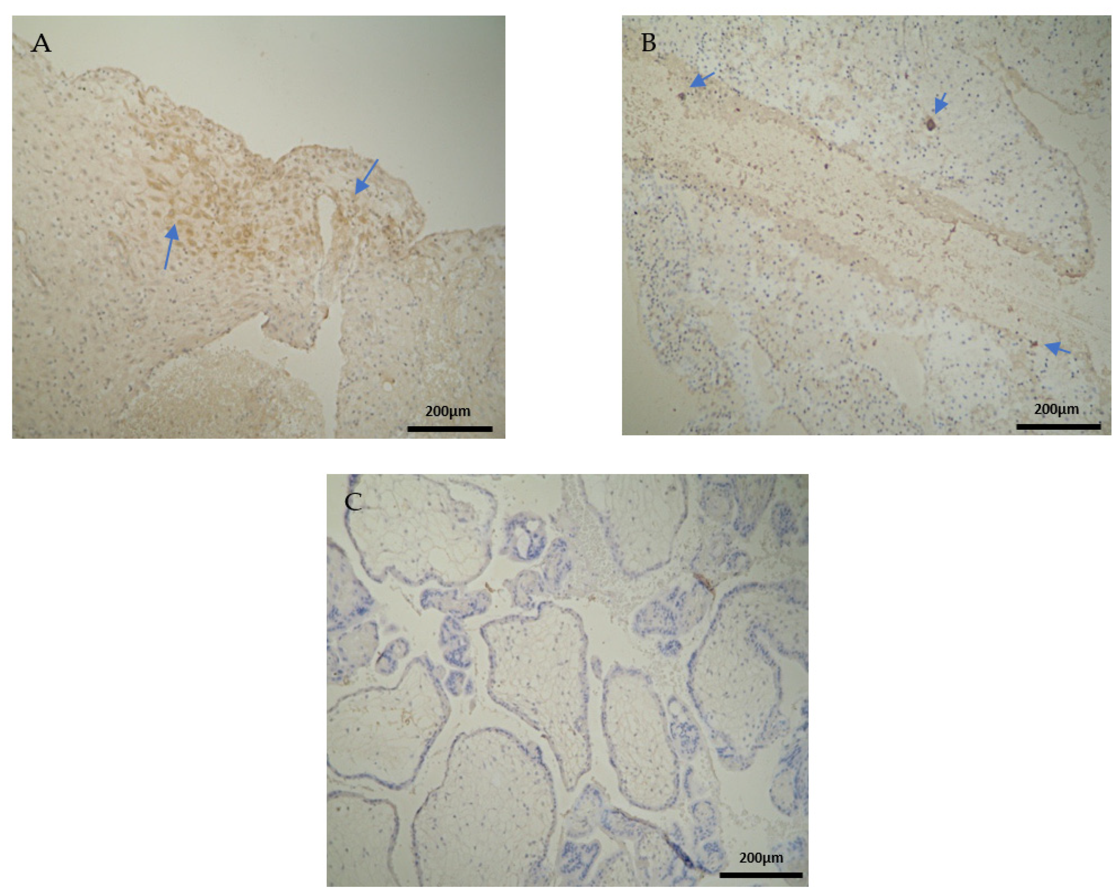 Clinpract 12 00022 g001