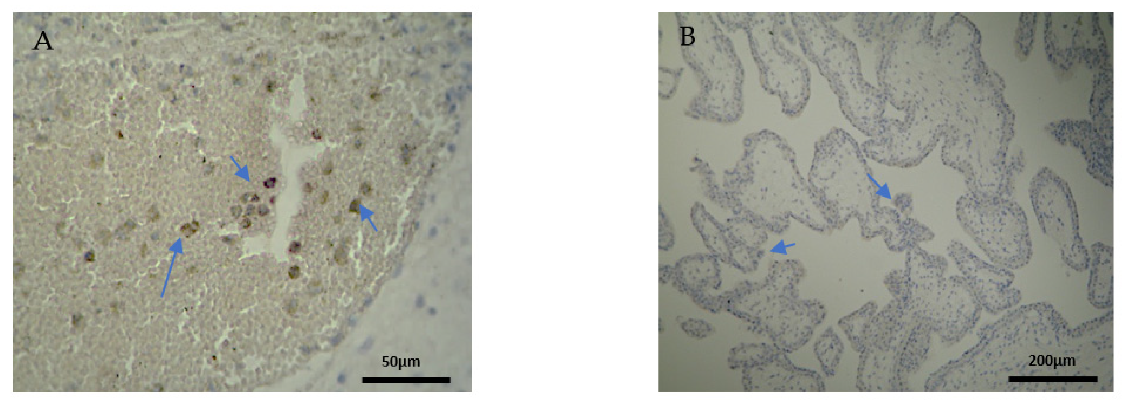 Clinpract 12 00022 g003