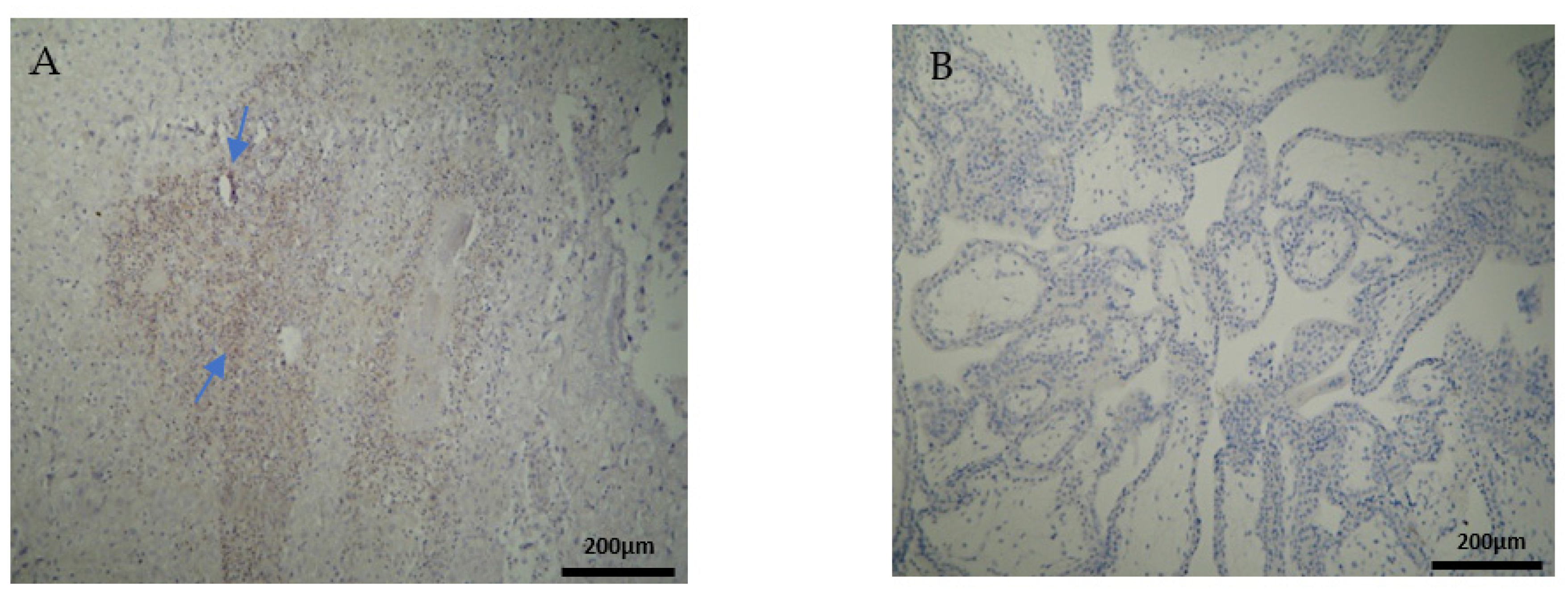 Clinpract 12 00022 g005