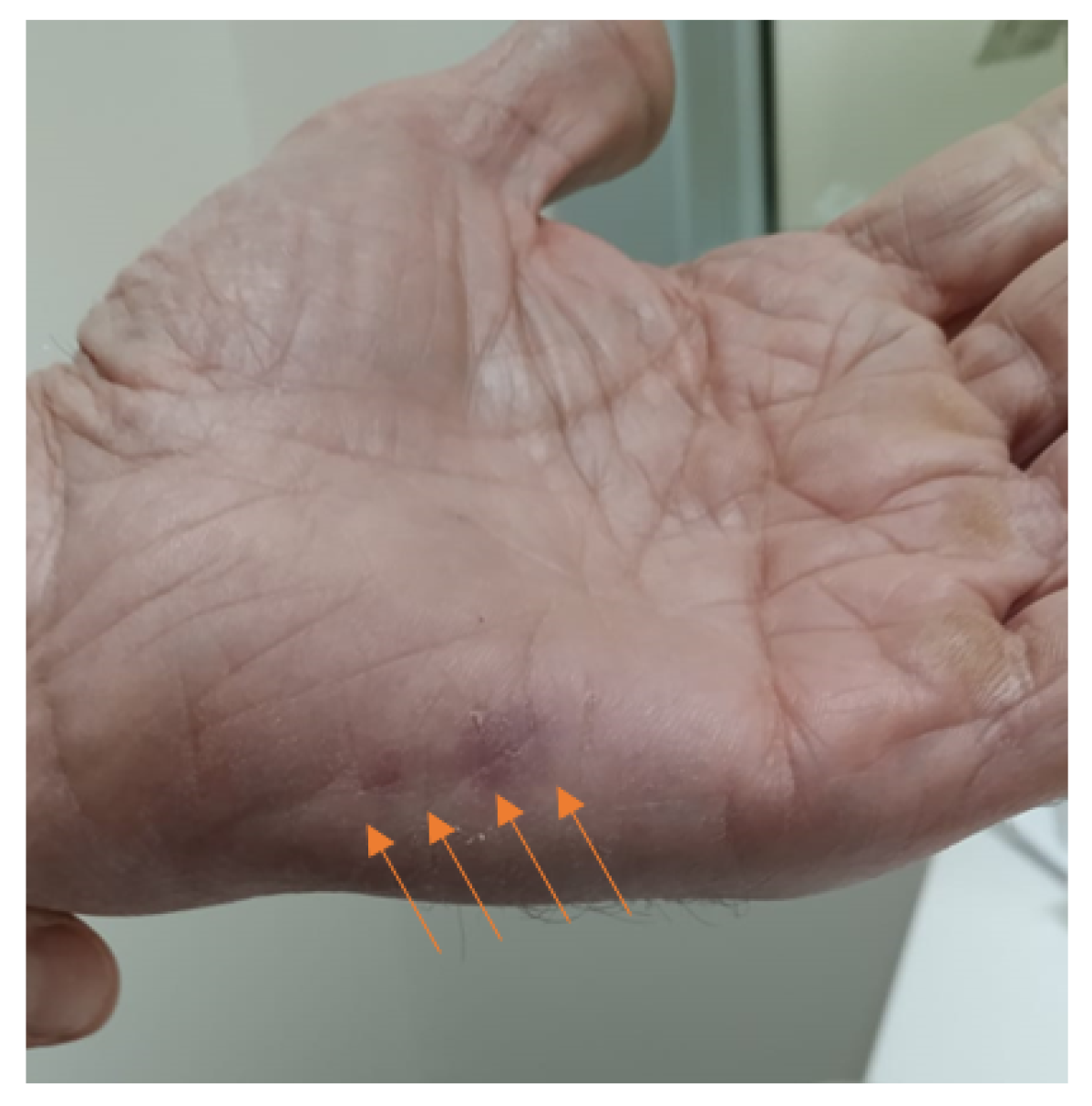 Clinpract 12 00028 g001