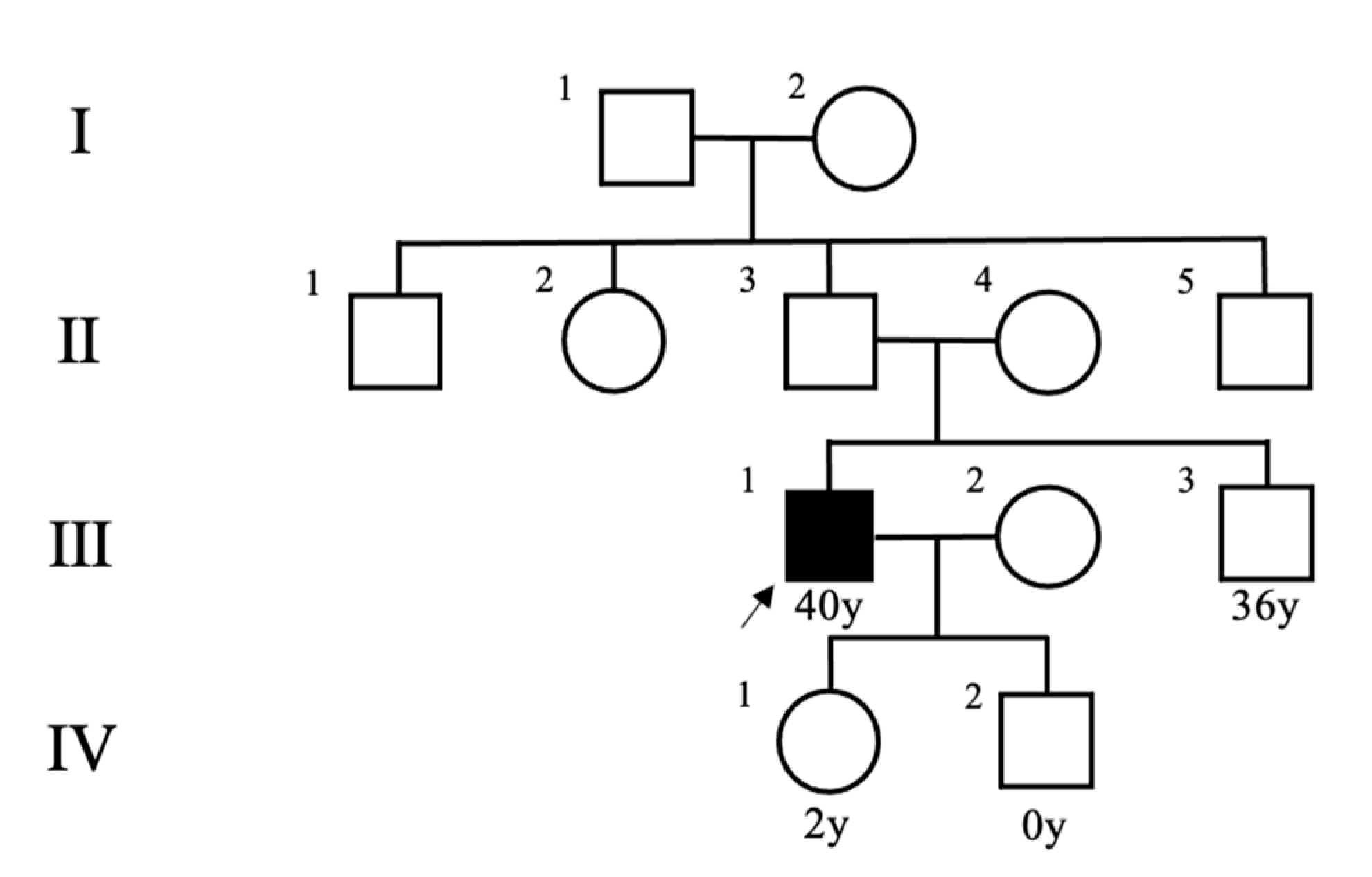 Clinpract 12 00035 g001