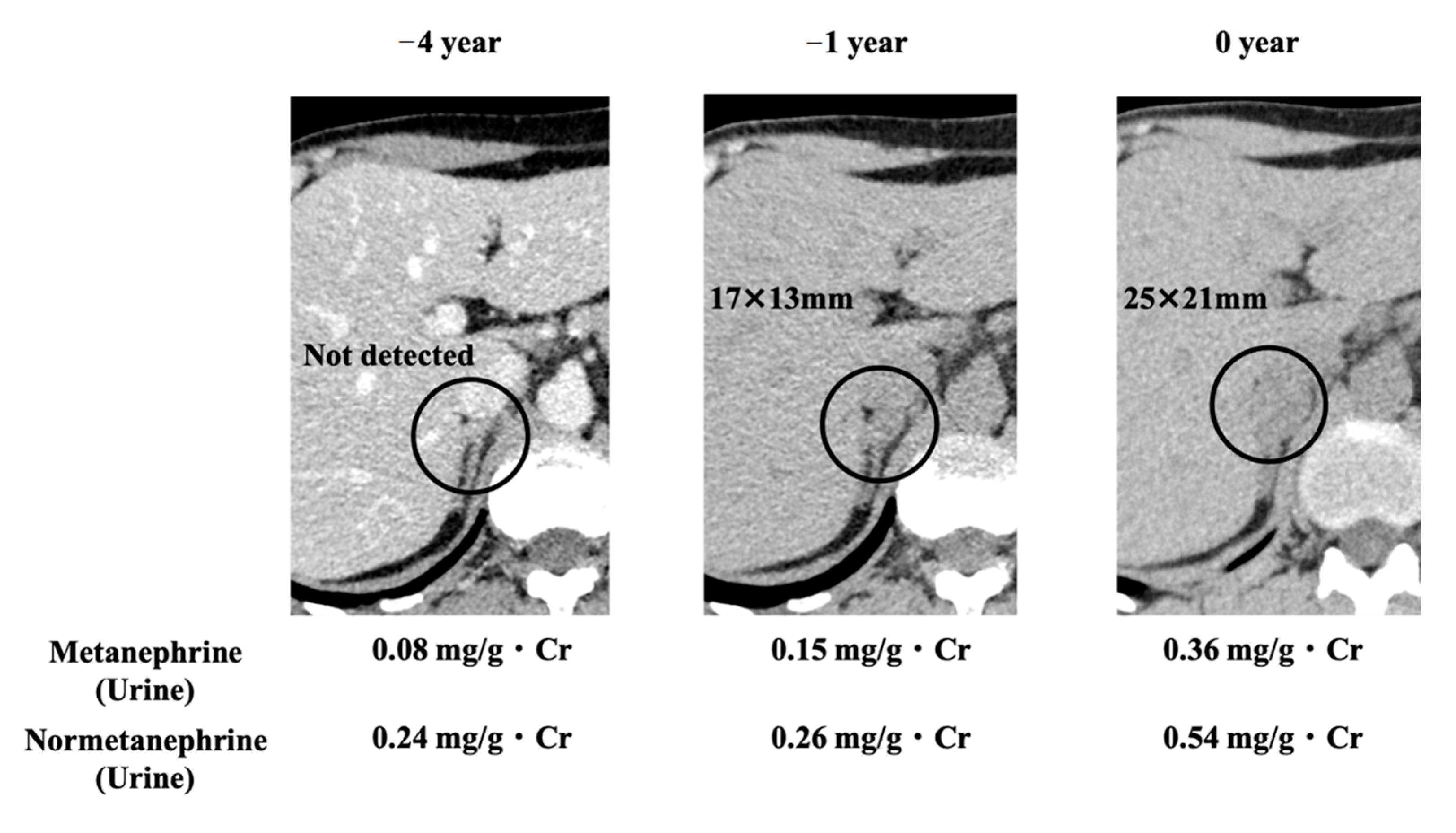 Clinpract 12 00035 g003