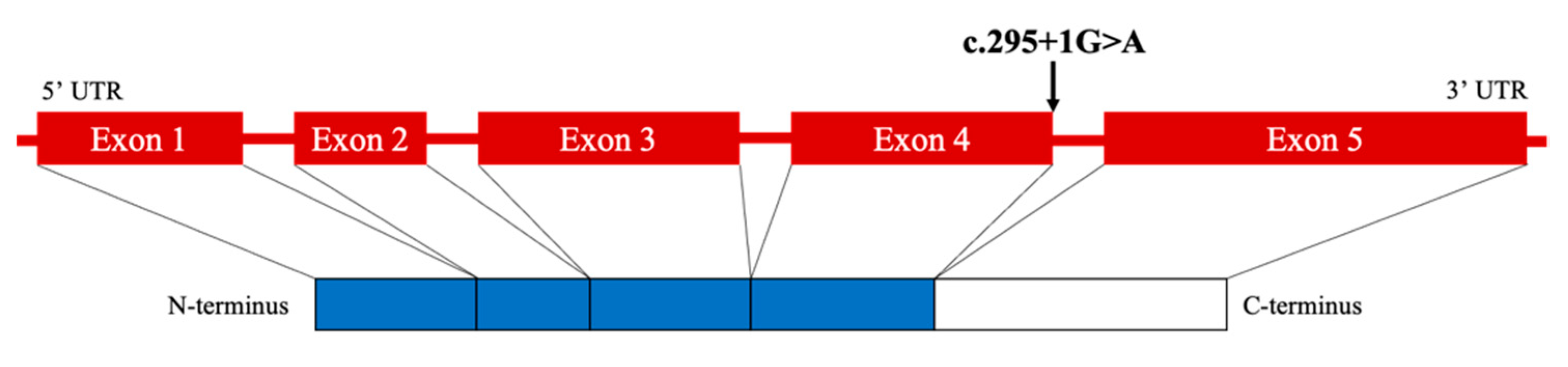 Clinpract 12 00035 g004