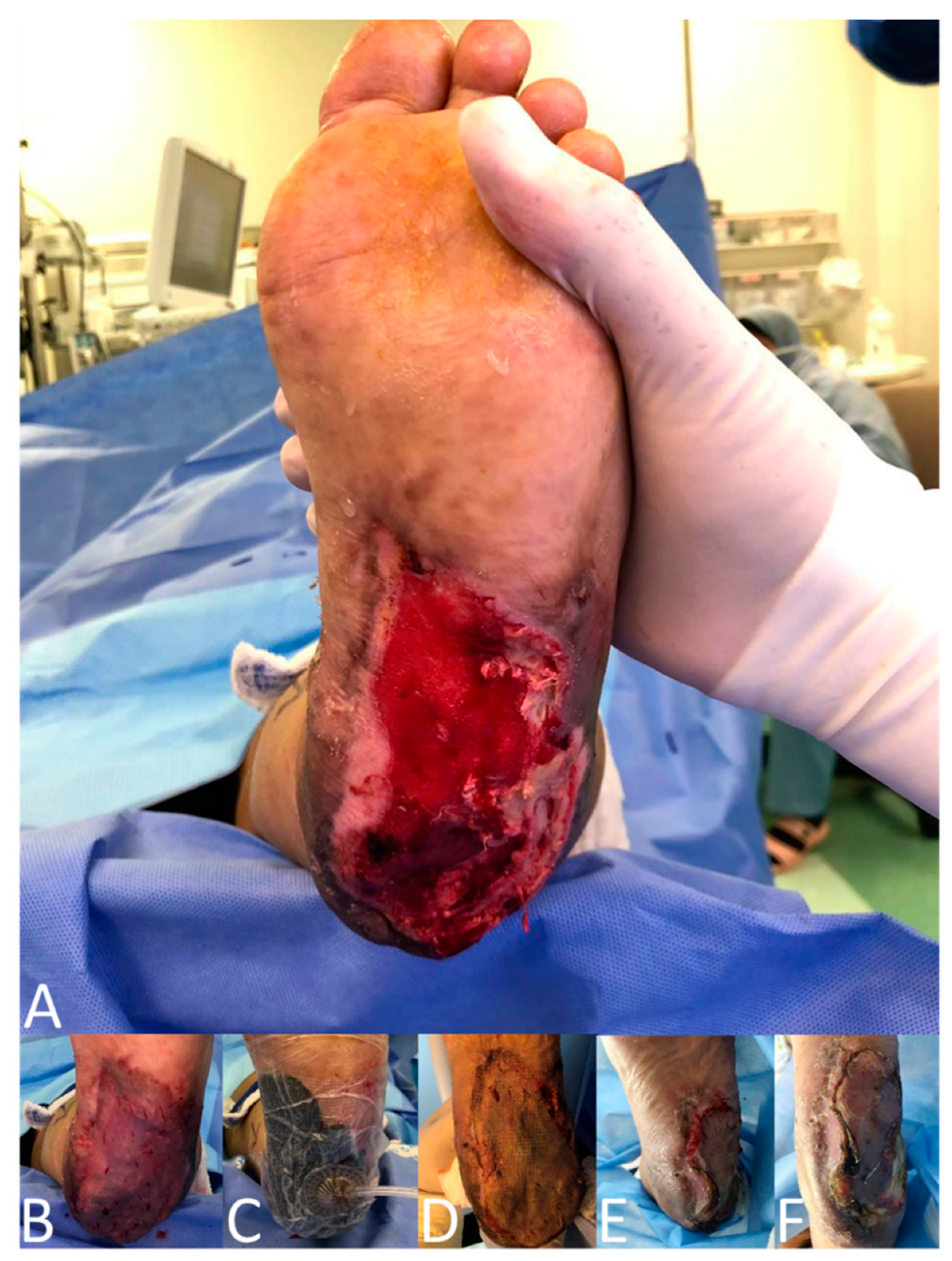 Clinpract 12 00044 g001