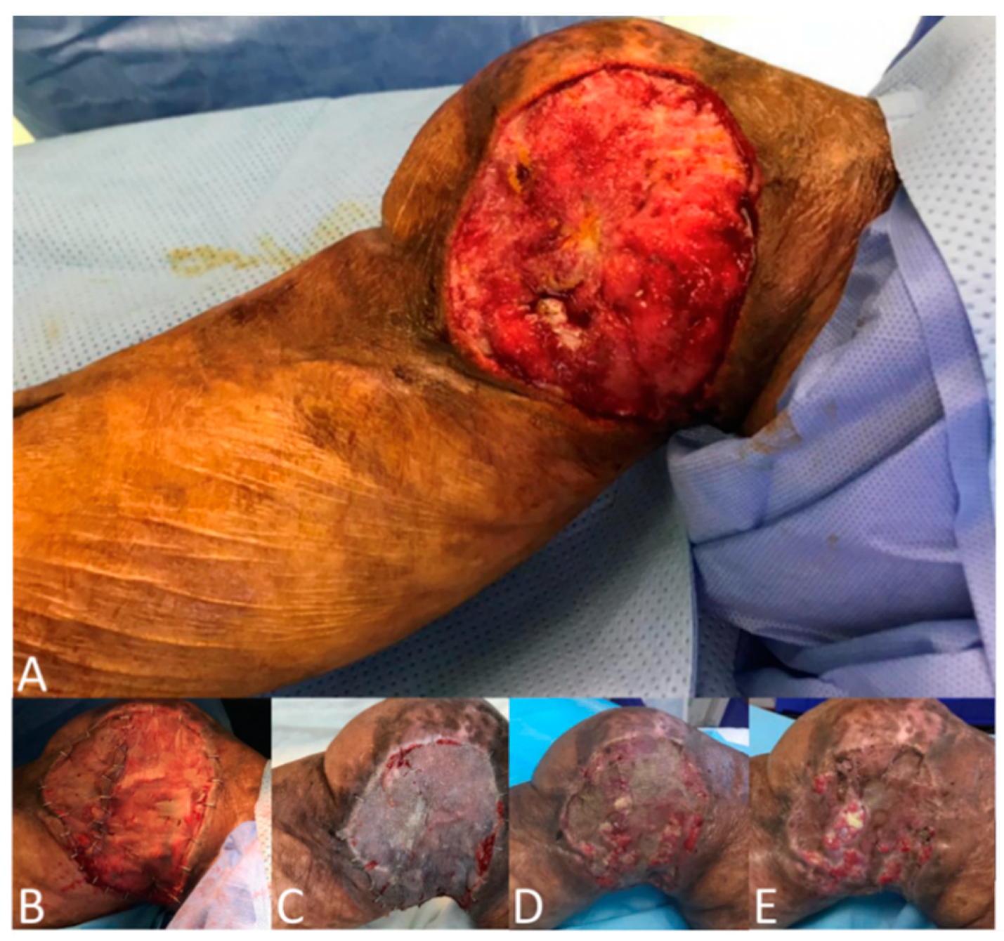 Clinpract 12 00044 g002