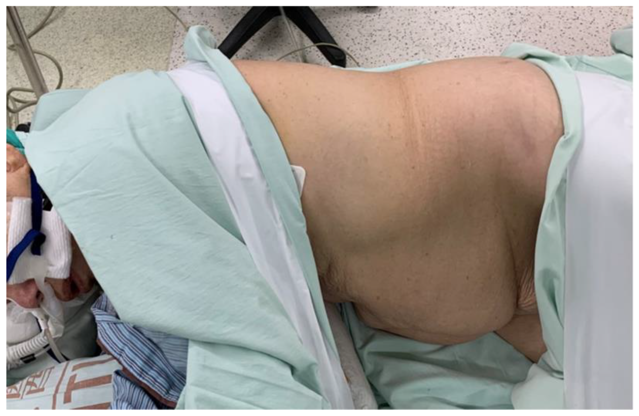 Clinpract 12 00049 g002