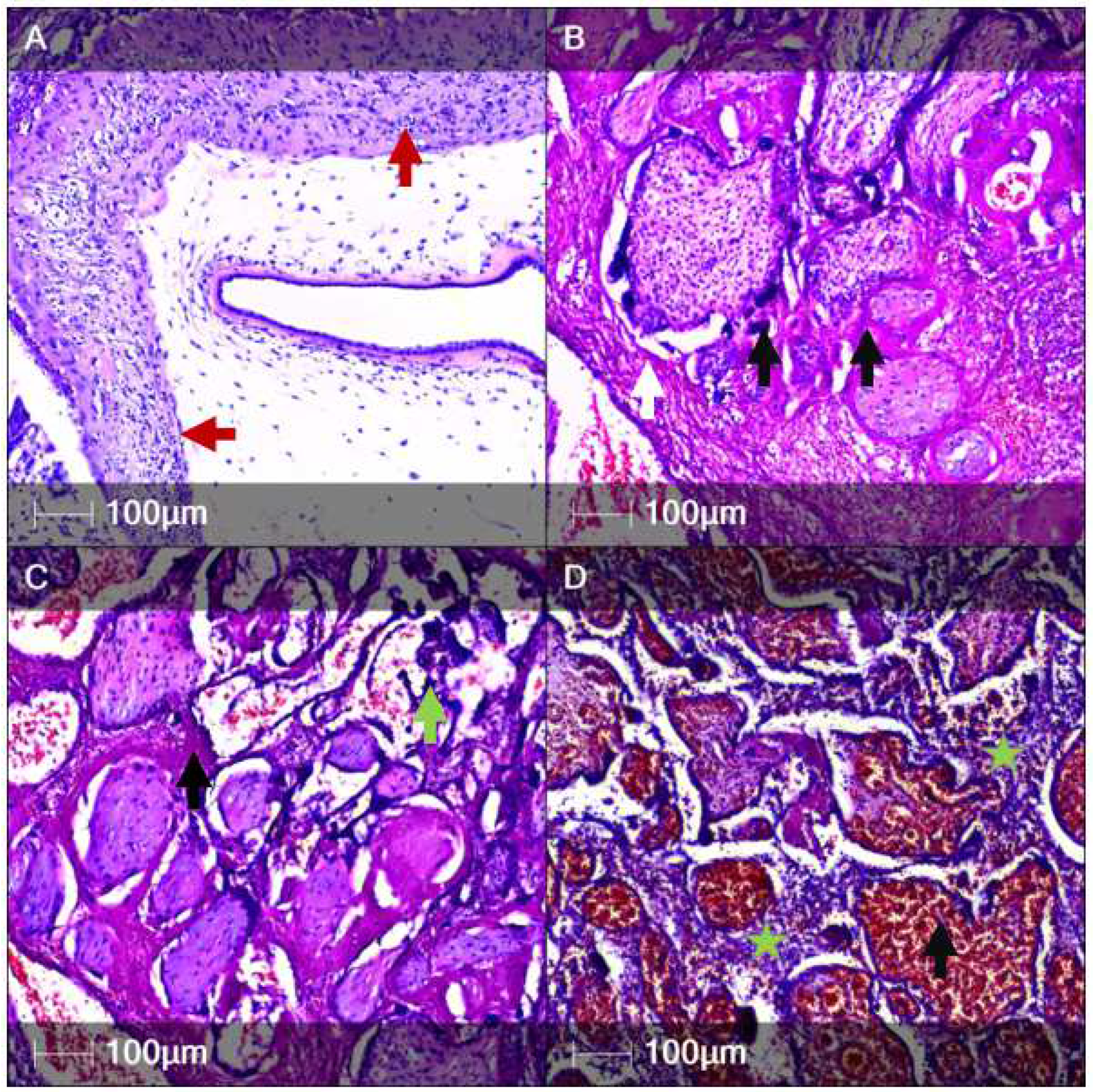 Clinpract 12 00061 g001