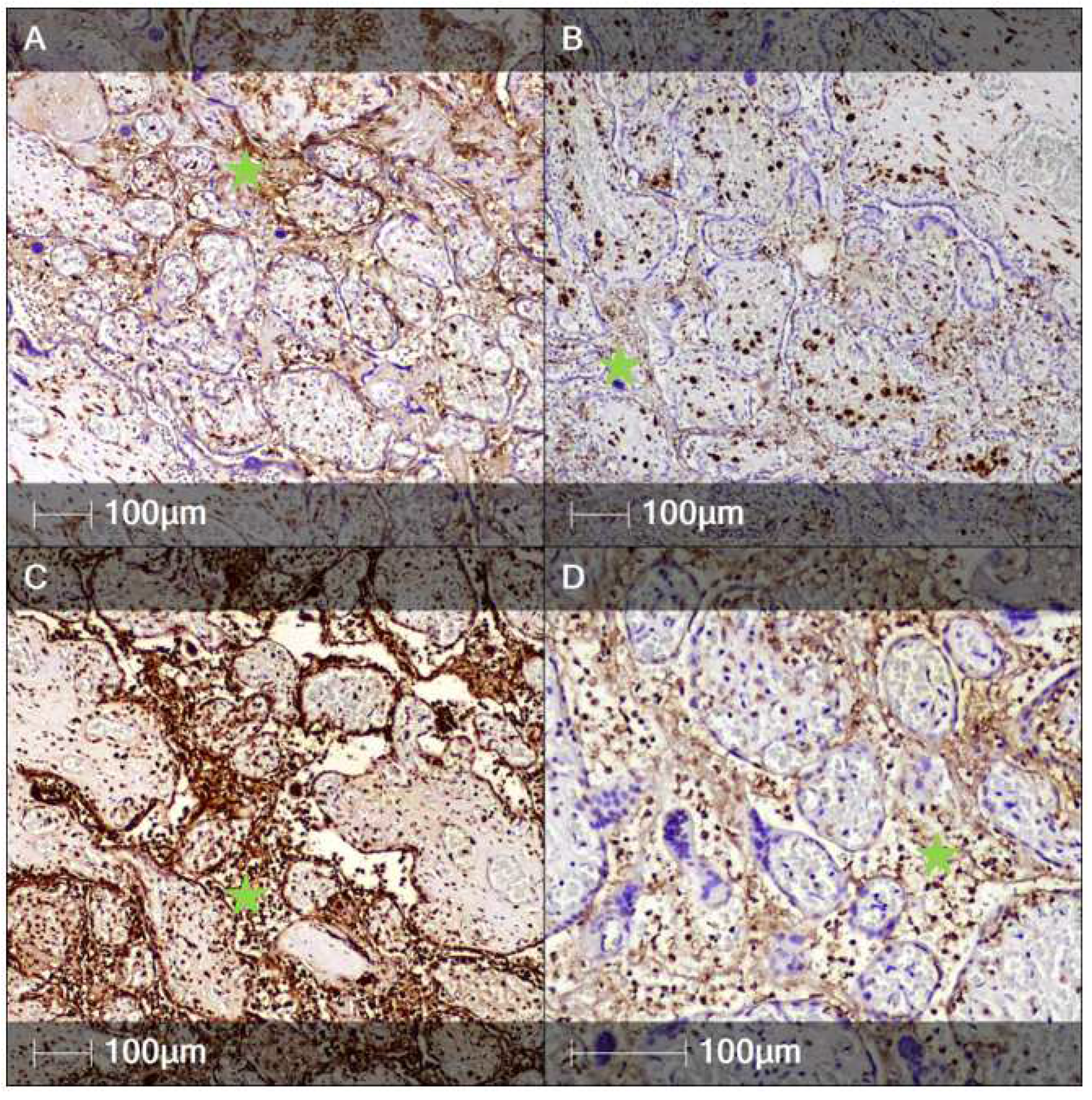Clinpract 12 00061 g002