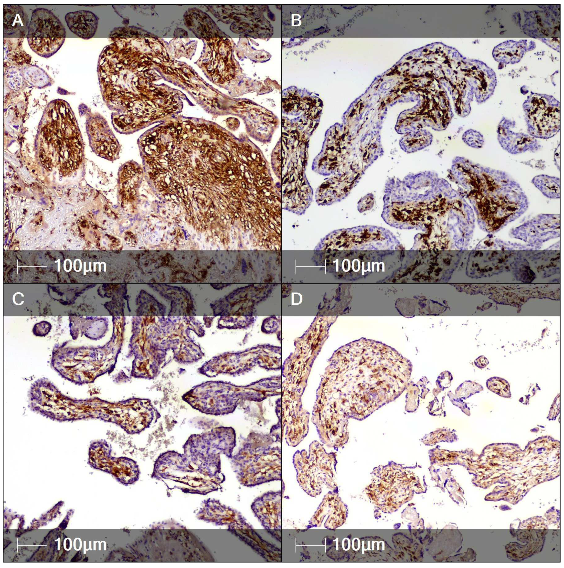 Clinpract 12 00061 g003